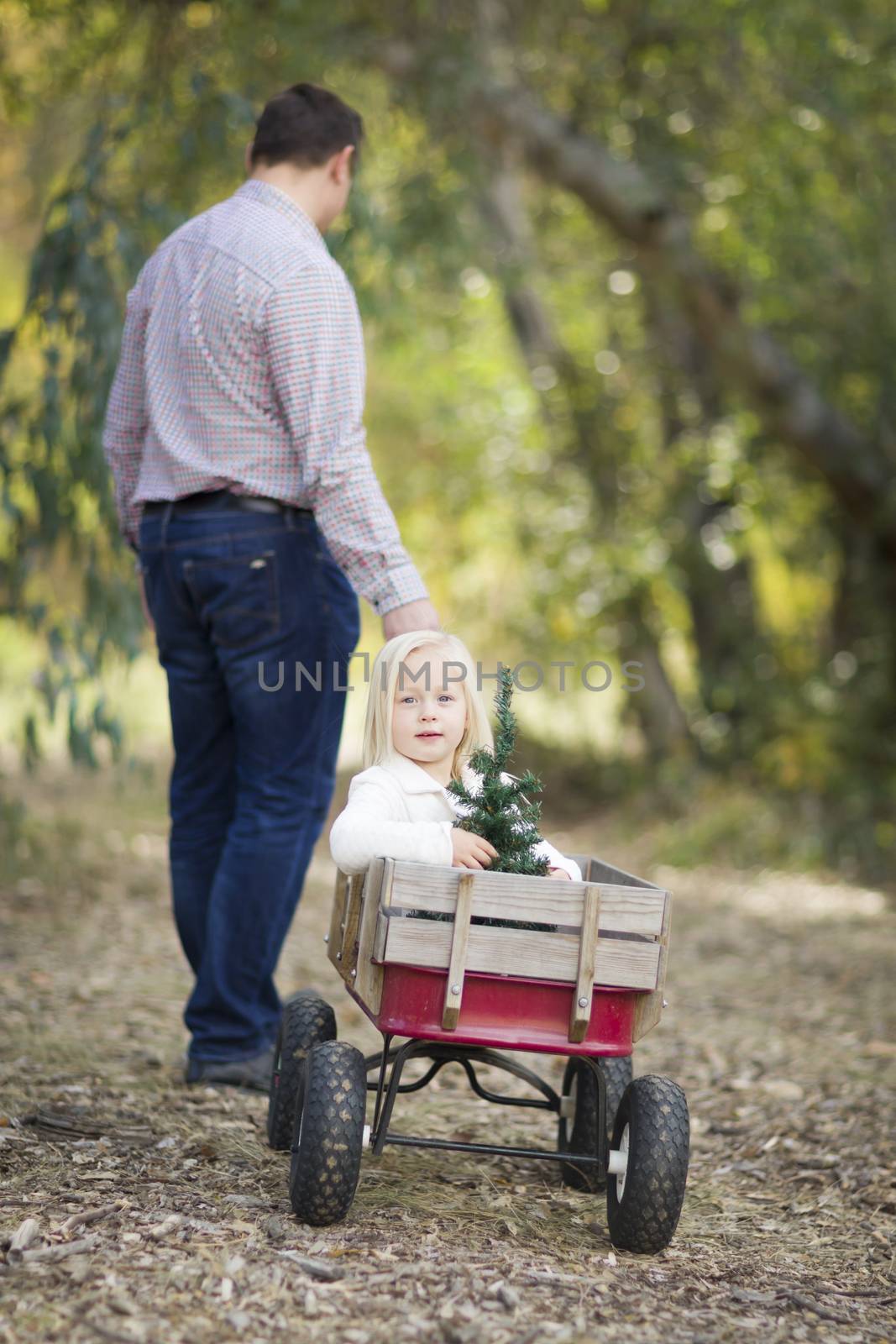 Father Pulls Baby Girl in Wagon with Christmas Tree by Feverpitched