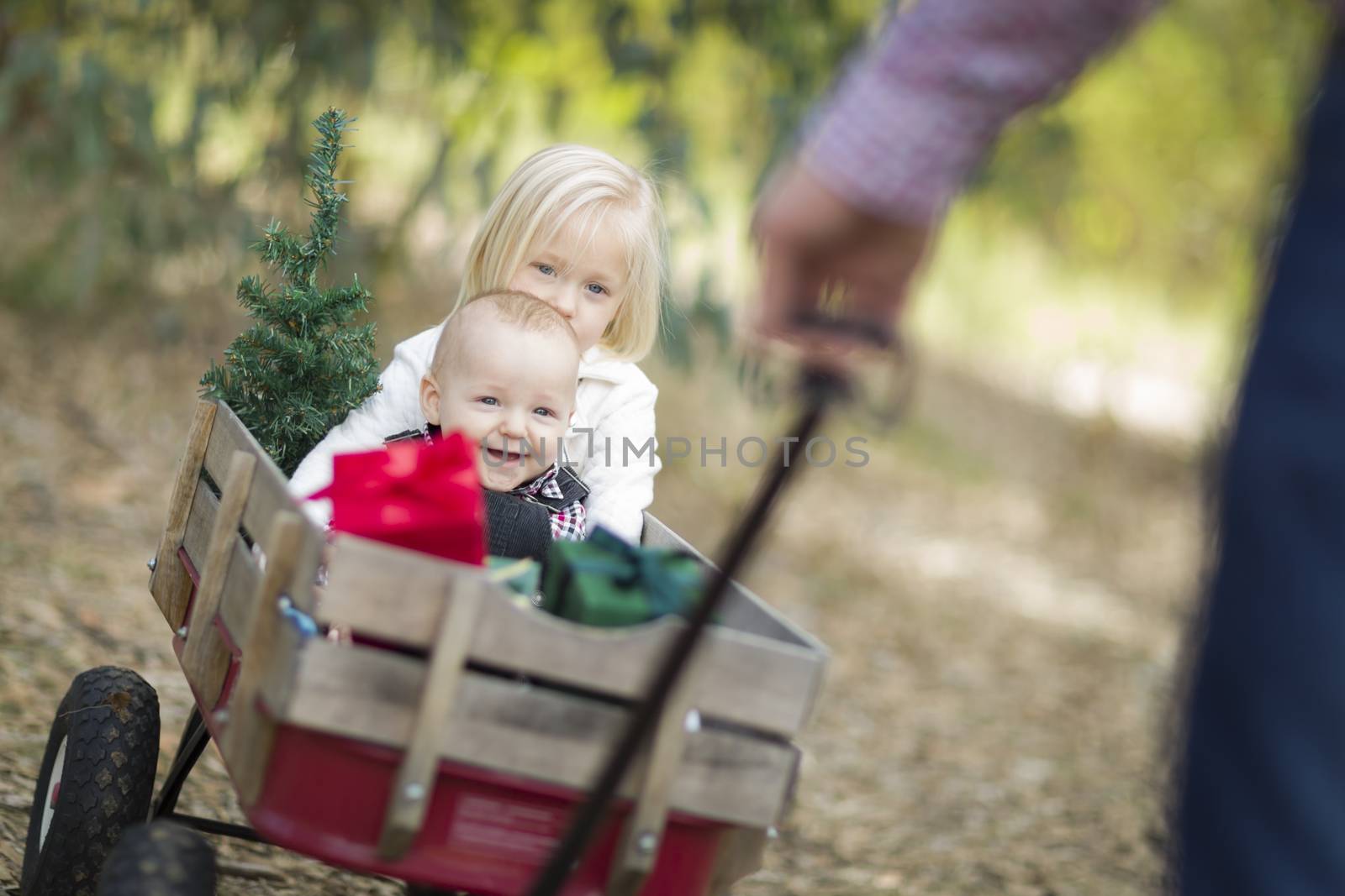 Baby Brother and Sister Pulled in Wagon with Christmas Tree by Feverpitched