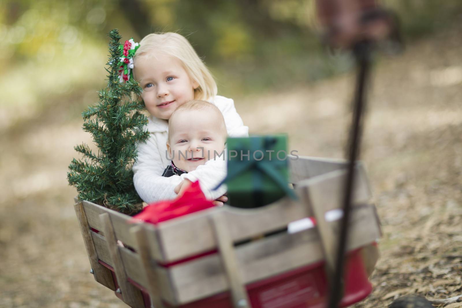 Baby Brother and Sister Being Pulled in Wagon with Christmas Tree and Gifts Outdoors.