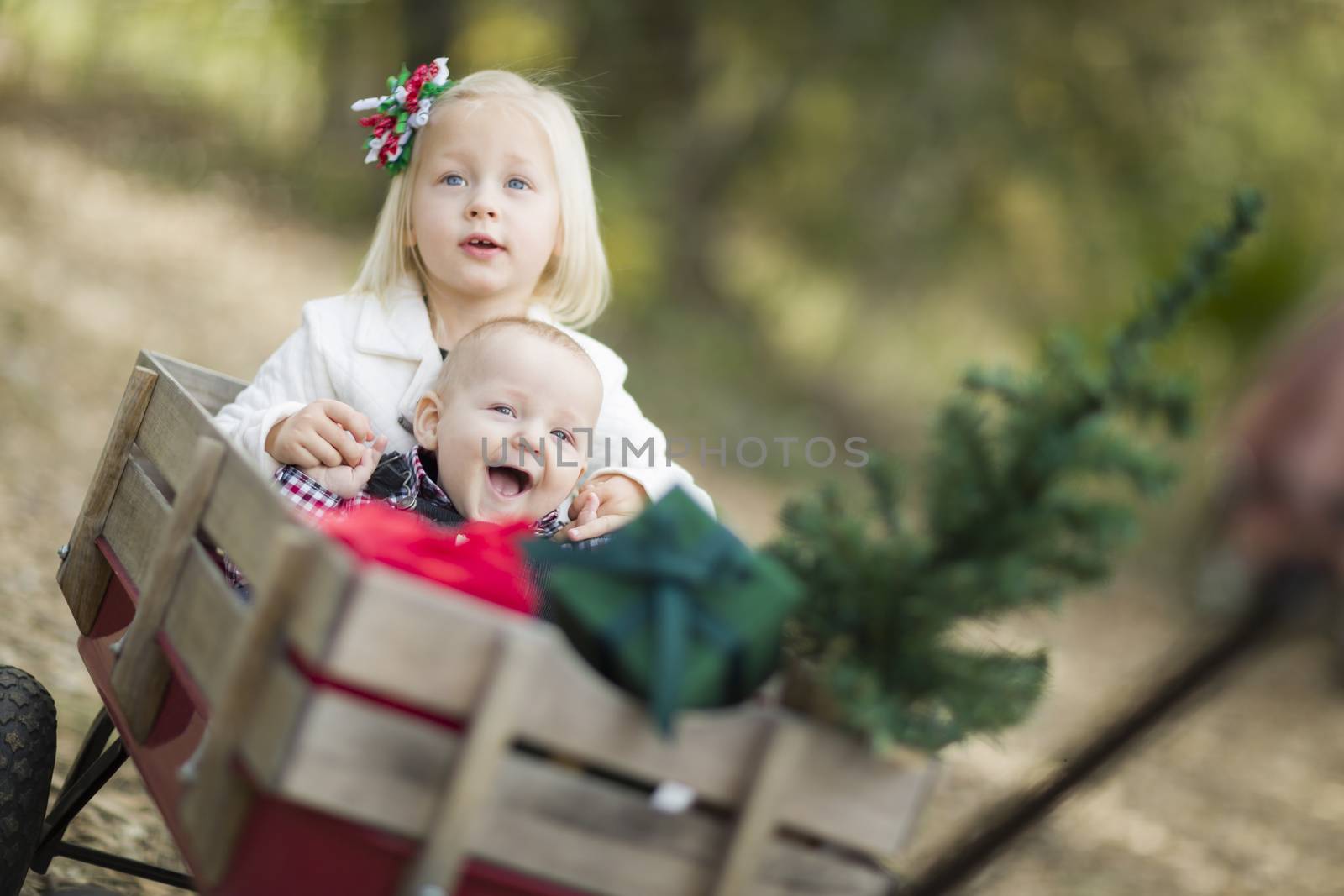 Baby Brother and Sister Being Pulled in Wagon with Christmas Tree and Gifts Outdoors.