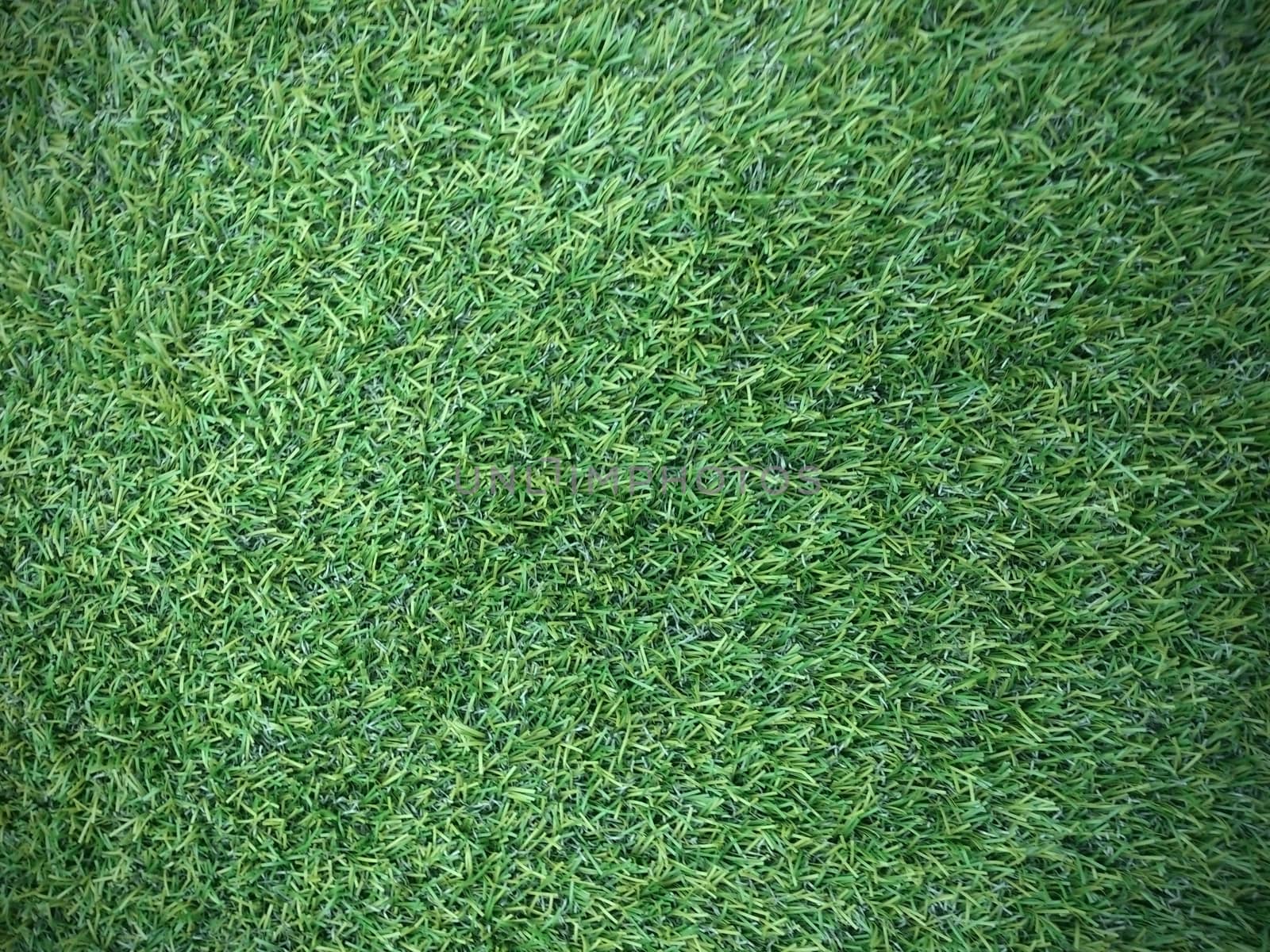 Green artificial grass by liewluck