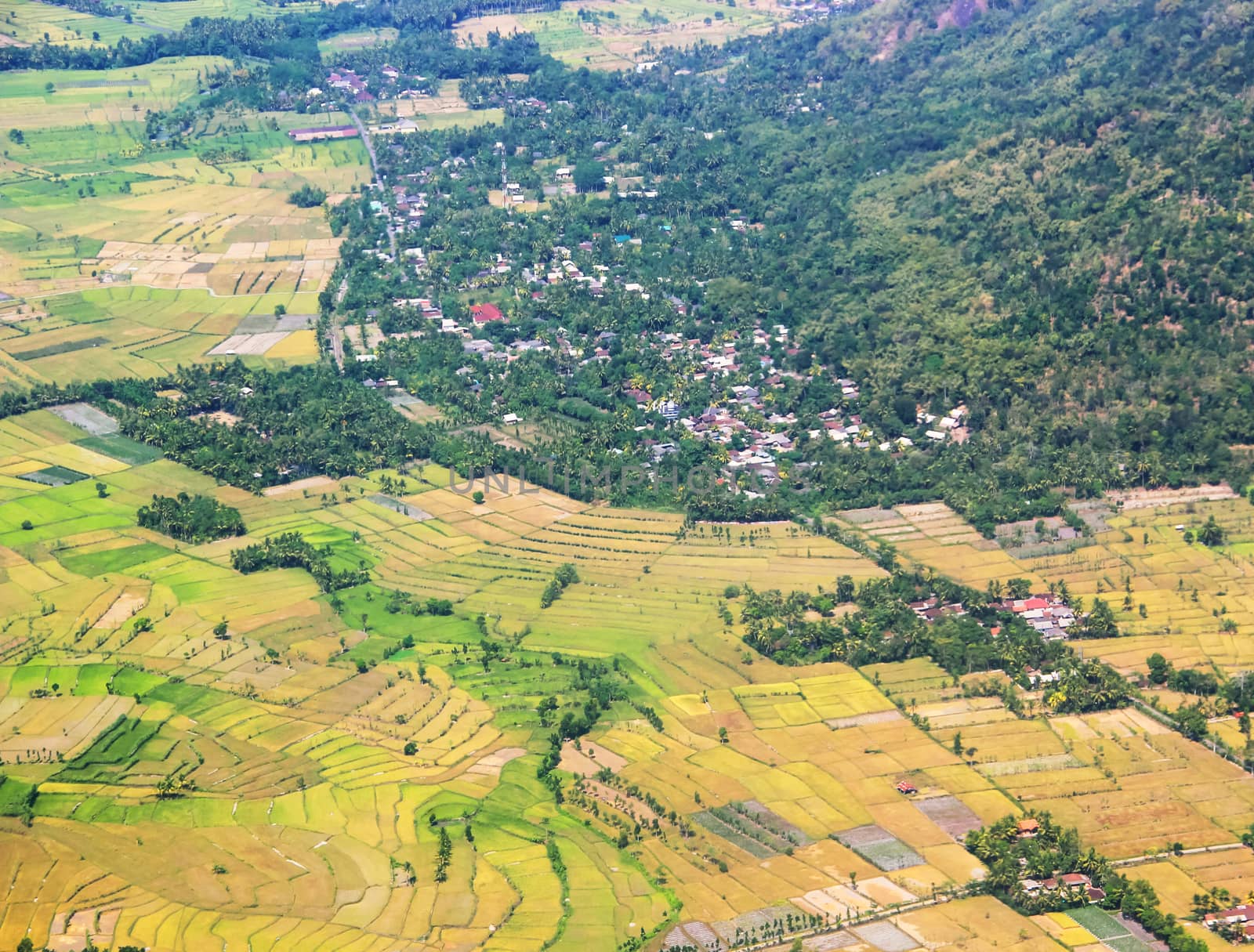 Aerial view over meadows by liewluck