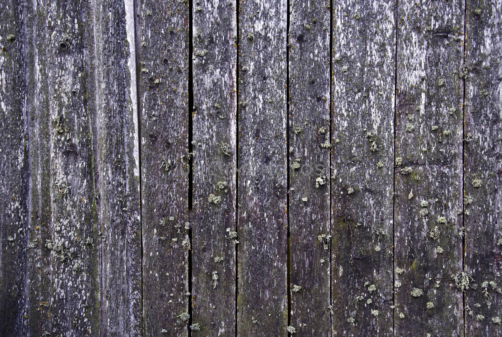 Background with old wooden planks