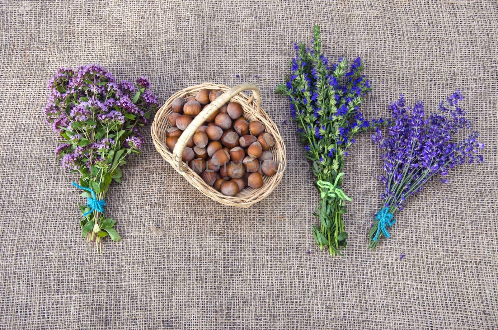 Selection of medical herbs and hazelnuts on linen background