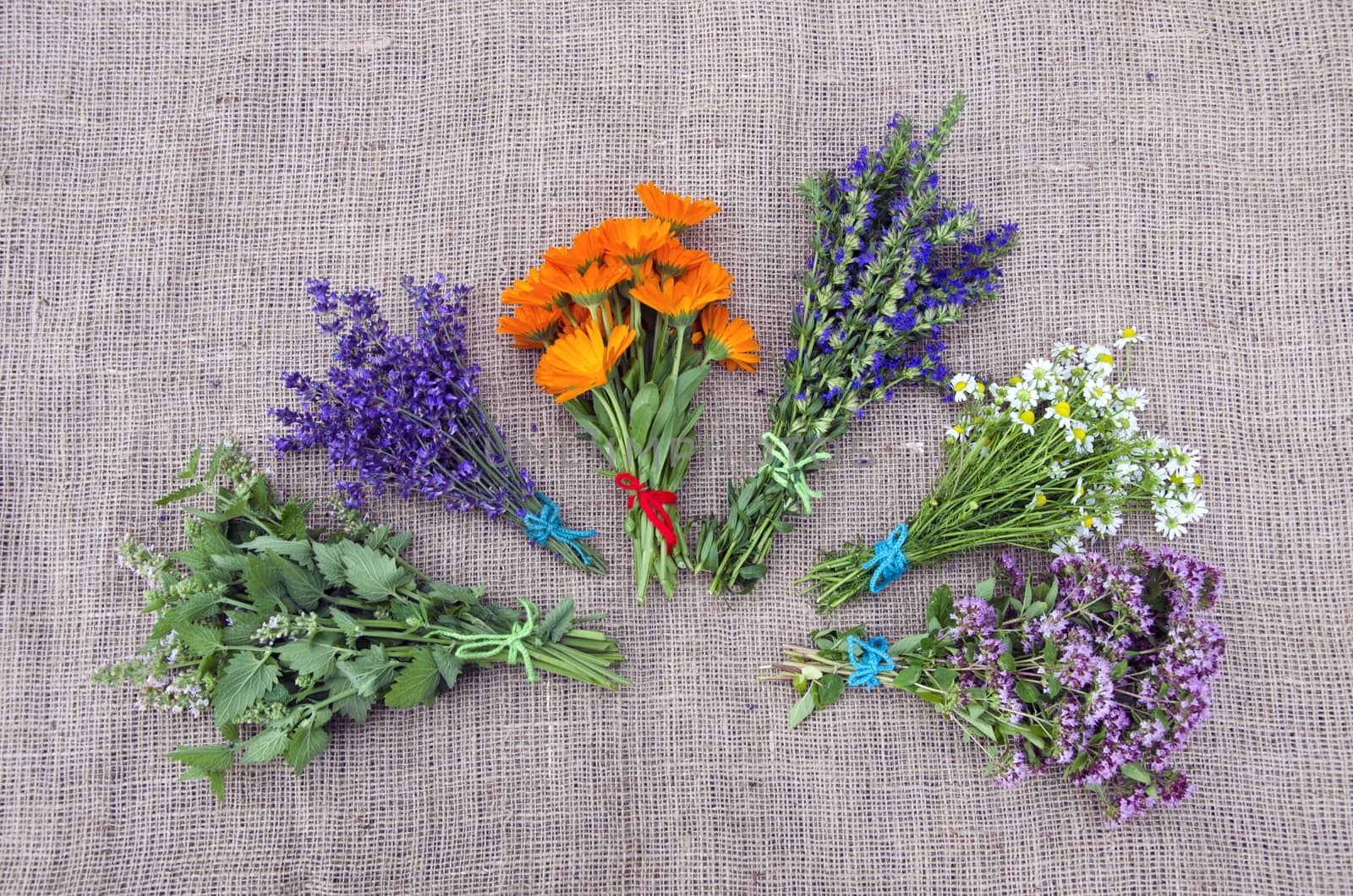 Bundle of freshly pickedvarious medical  herbs placed on linen background