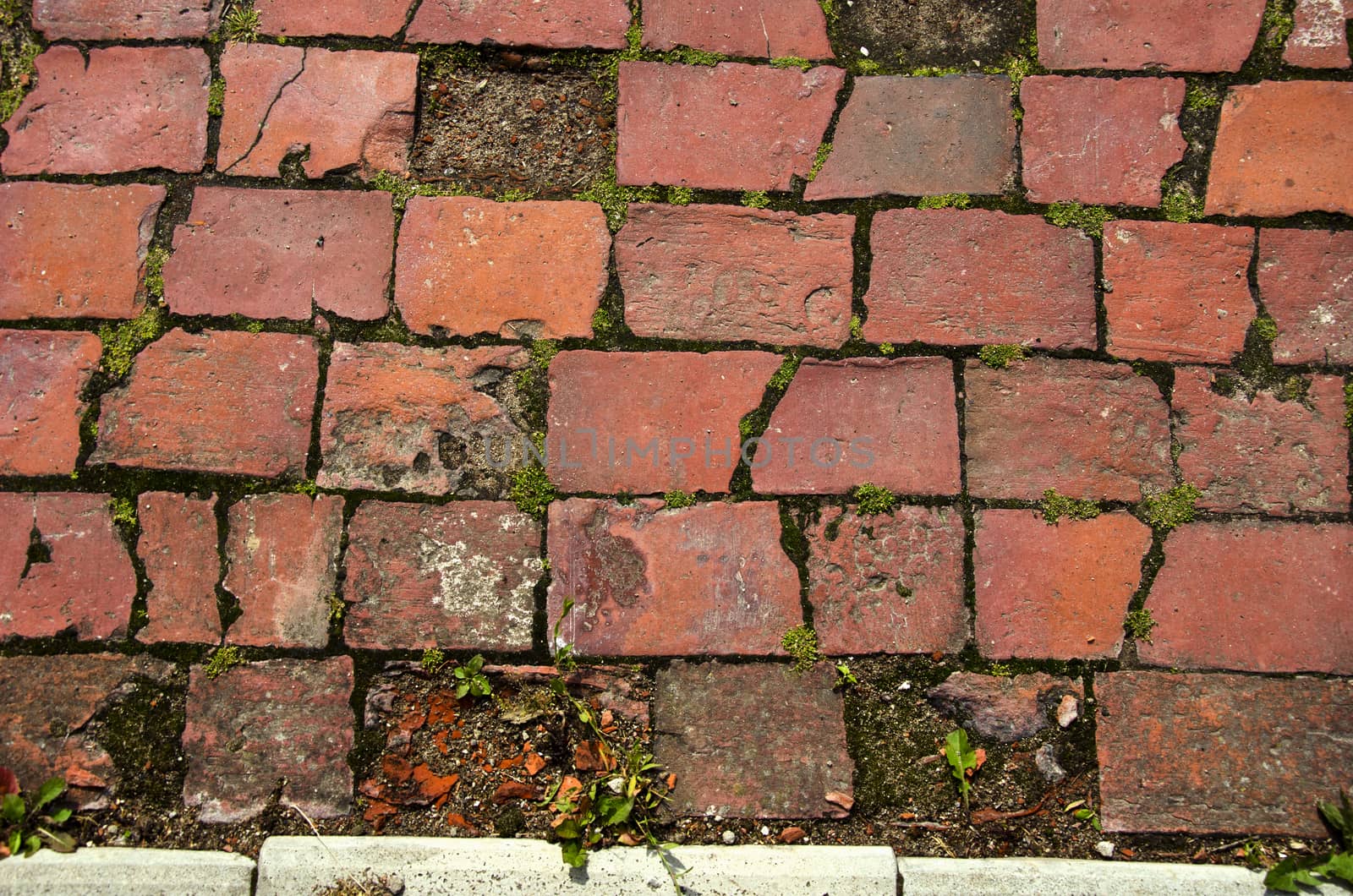 Old  red brick decorative pavement background by alis_photo