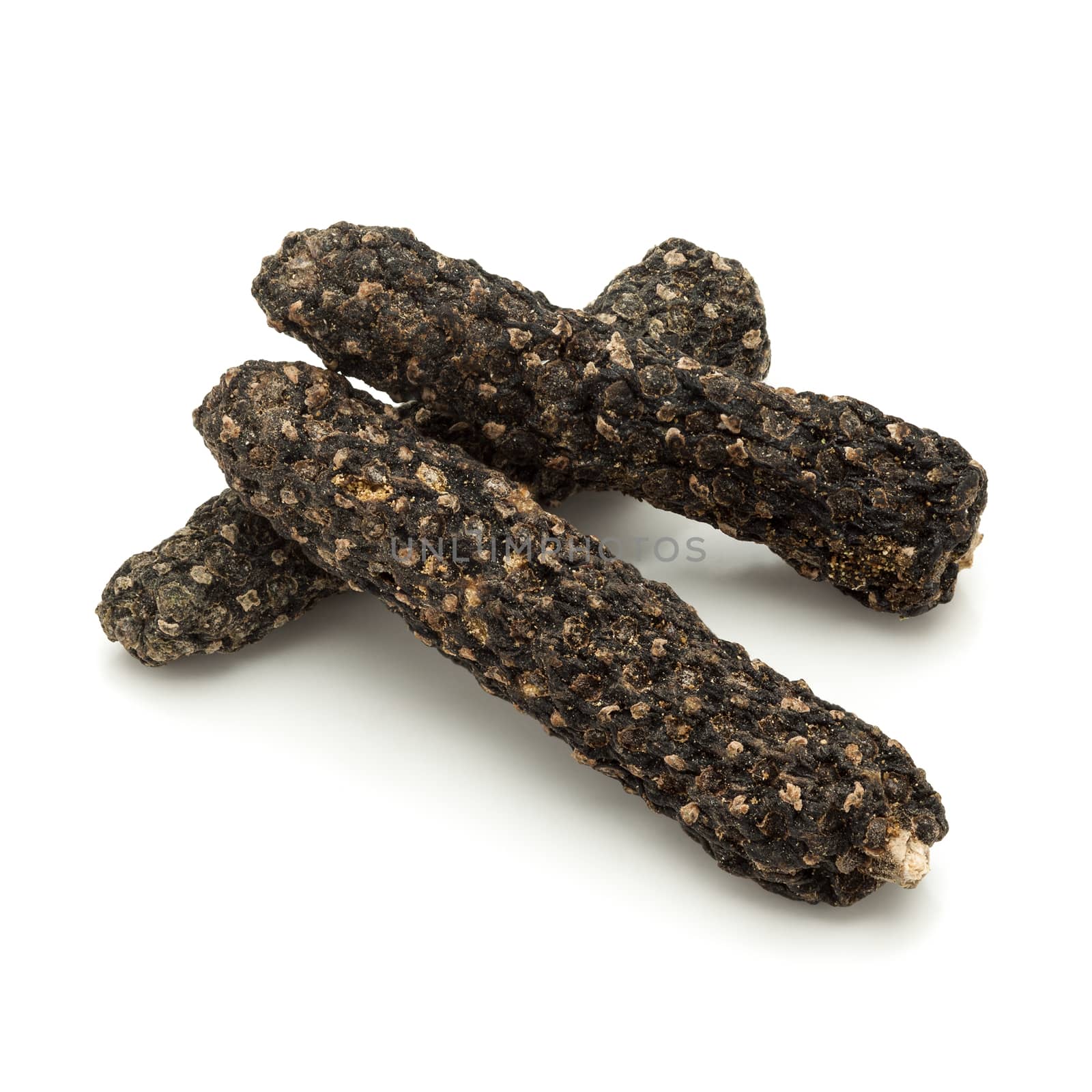 Macro closeup of Organic Long pepper Dried Fruit (Piper longum) isolated on white background.