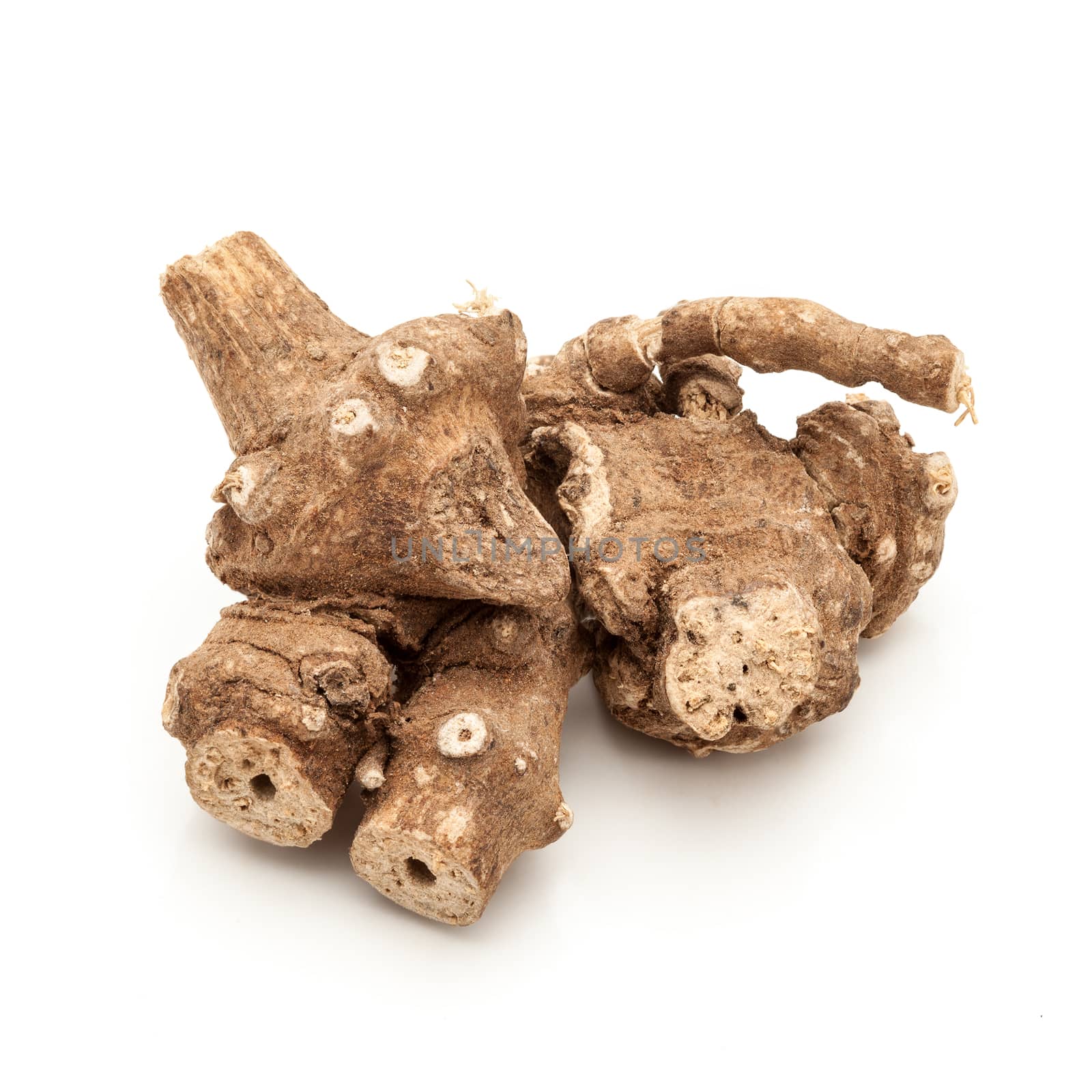 Macro closeup of a Organic Ganthoda or Long pepper Roots (Piper longum) isolated on white background.