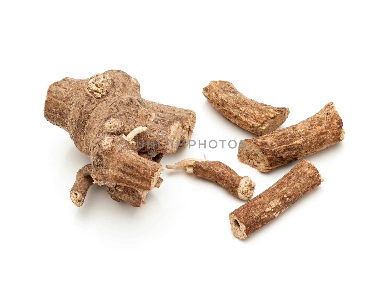 Macro closeup of a Organic Ganthoda or Long pepper Roots (Piper longum) isolated on white background.