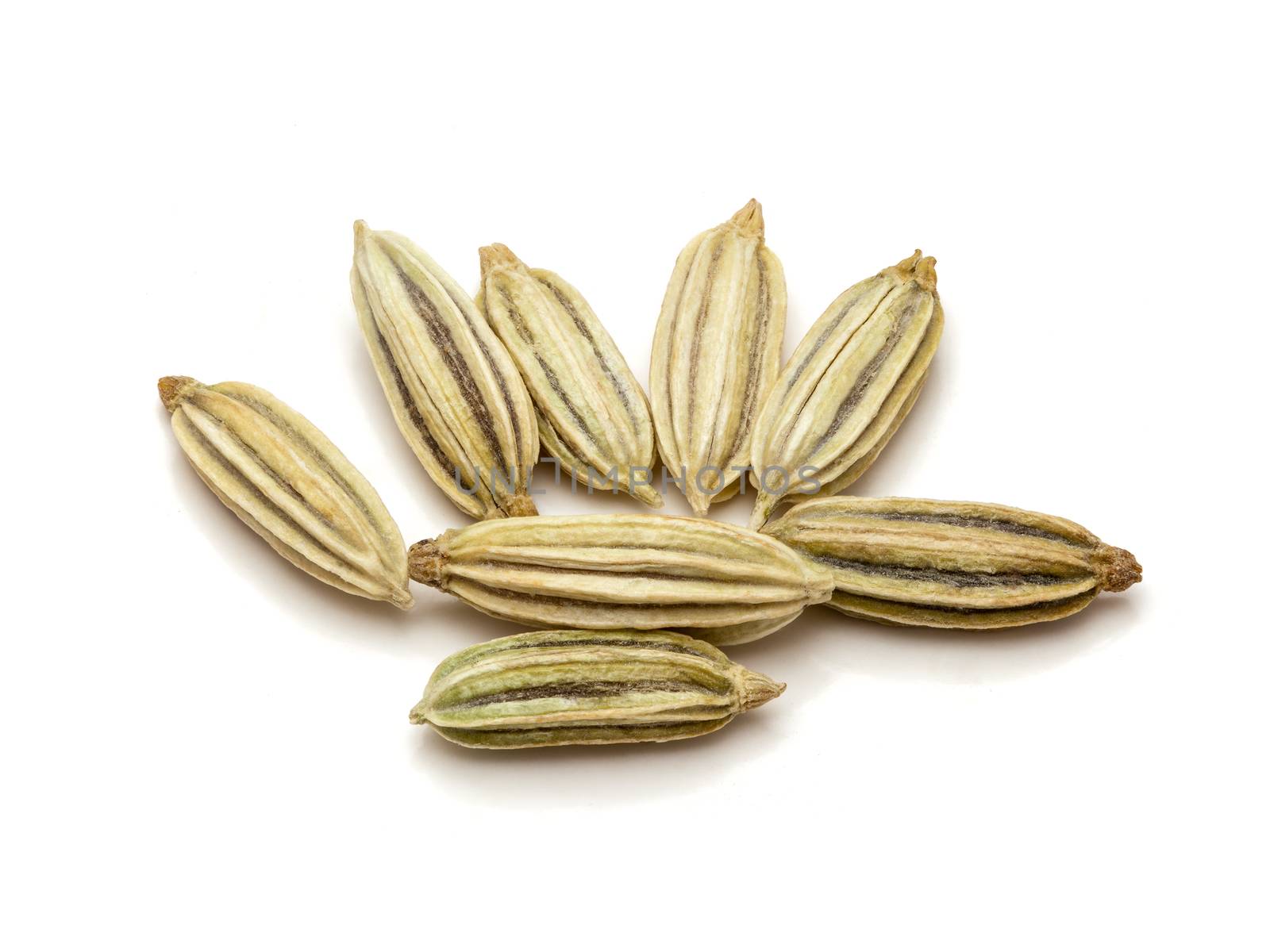 Macro closeup of Organic Fennel seeds (Foeniculum Vulgare) isolated on white background.