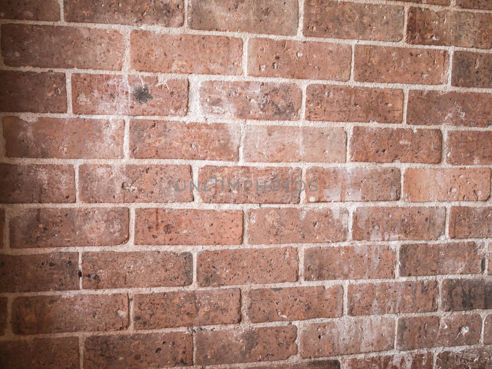 Brick Wall Background by nikky1972