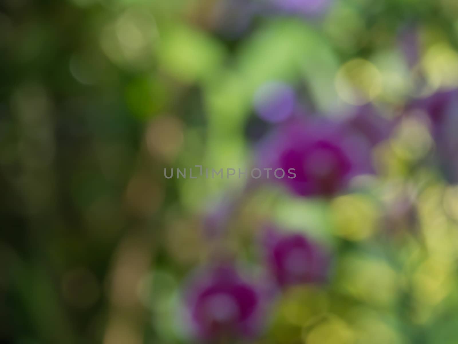 Bokeh background blur