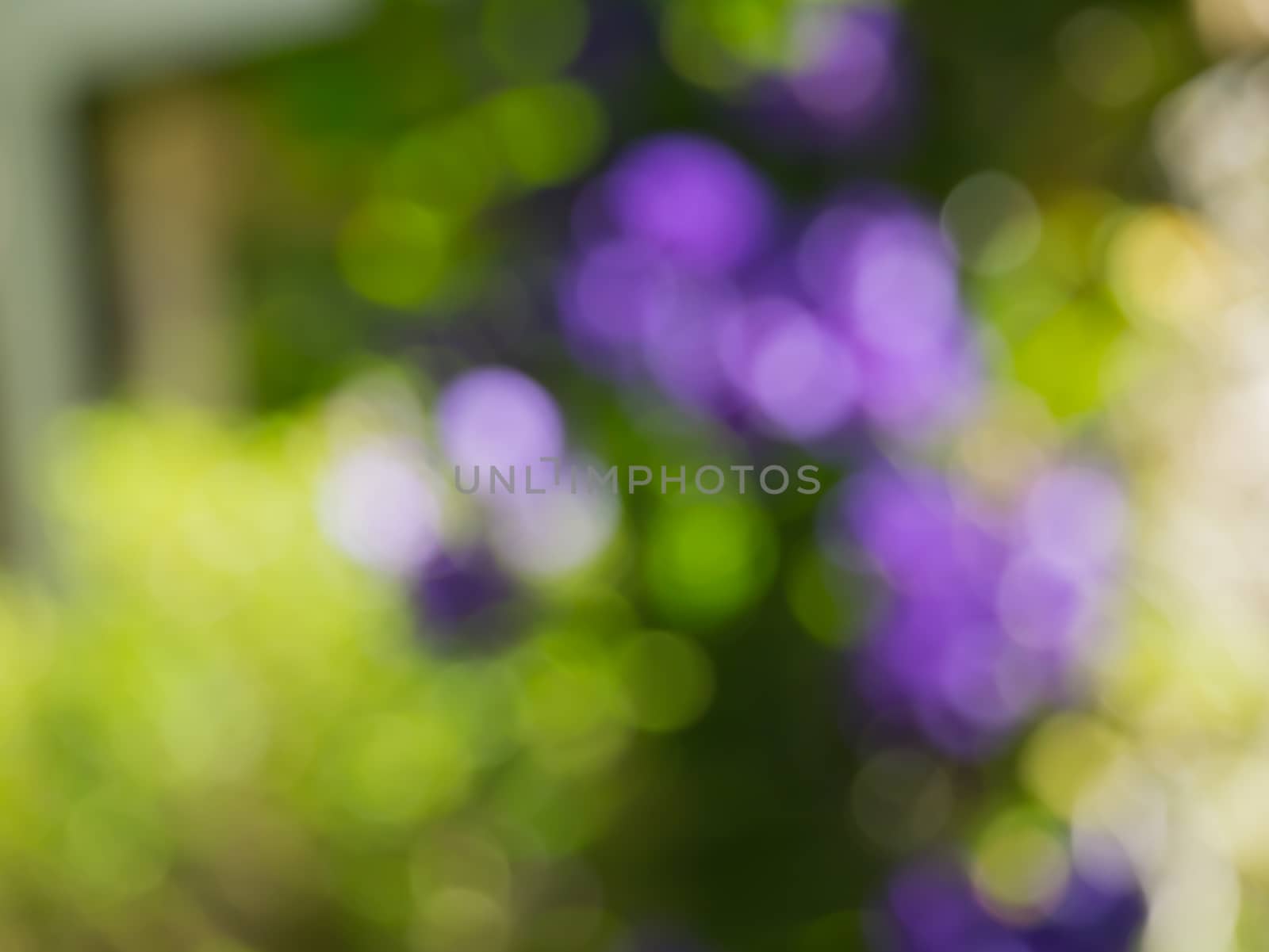 Bokeh background blur