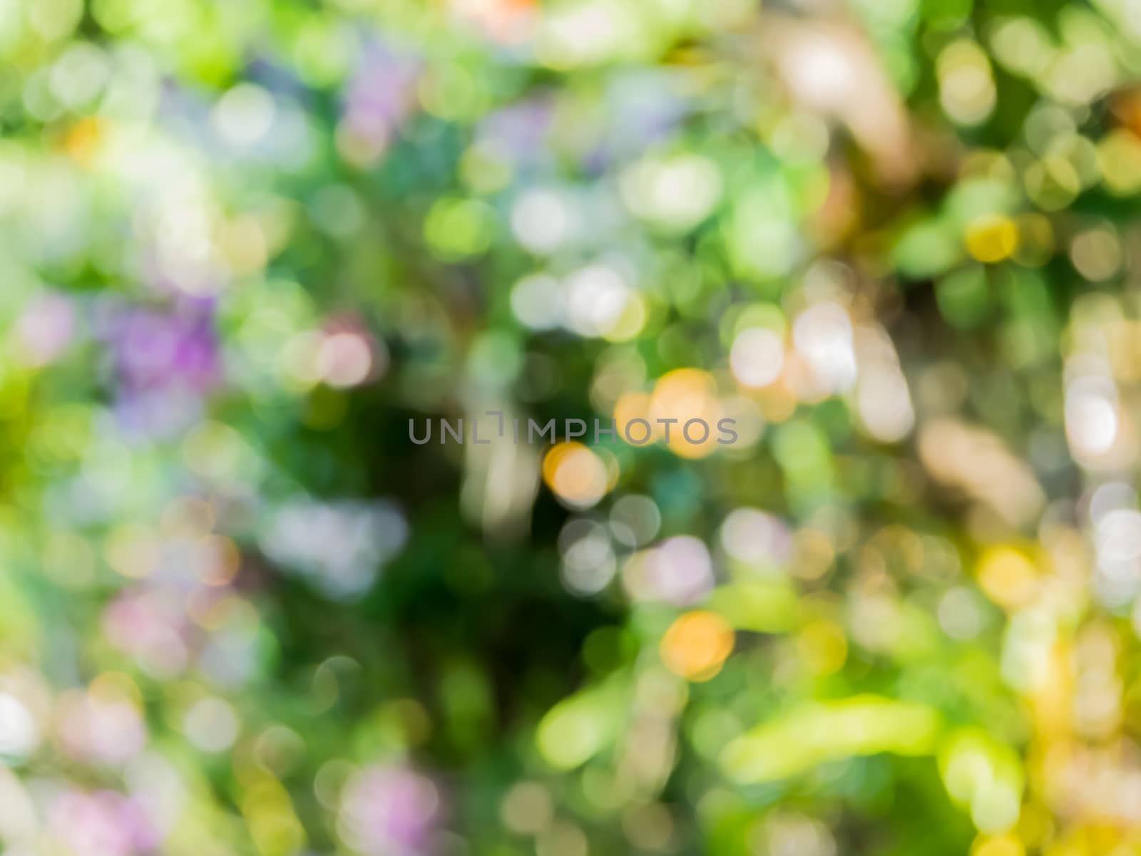 Bokeh background blur