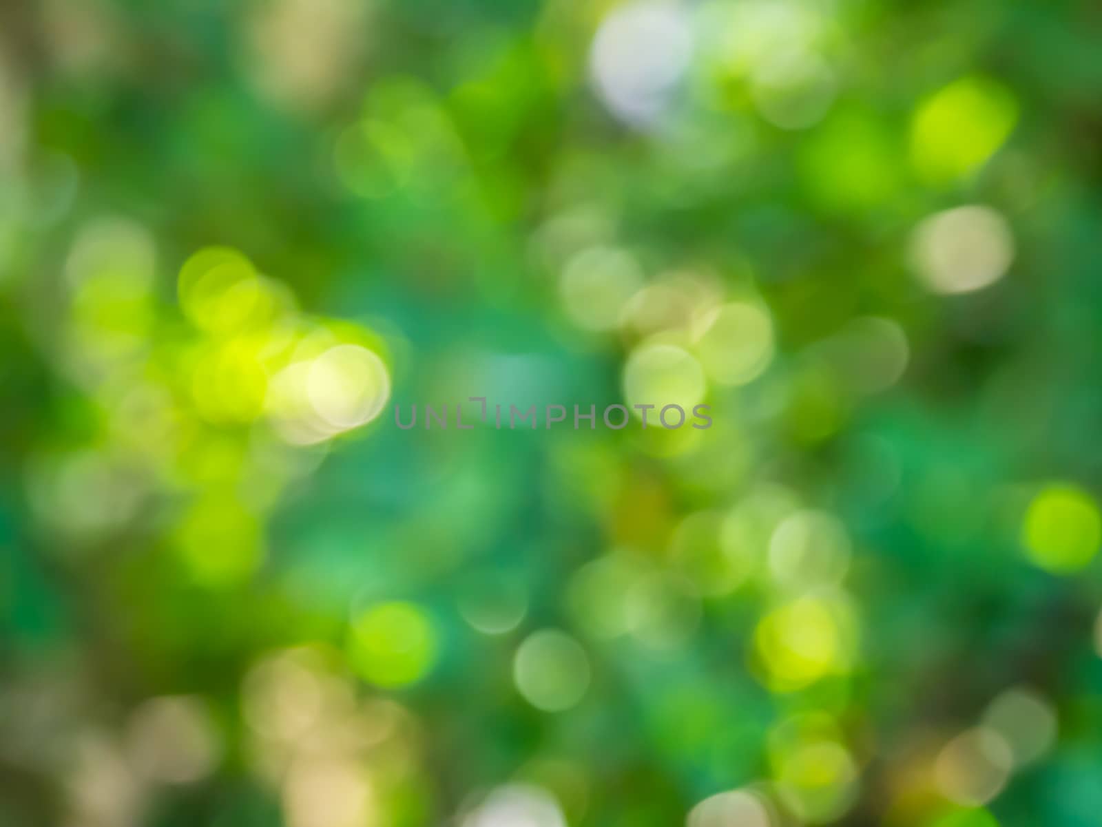 Bokeh background blur