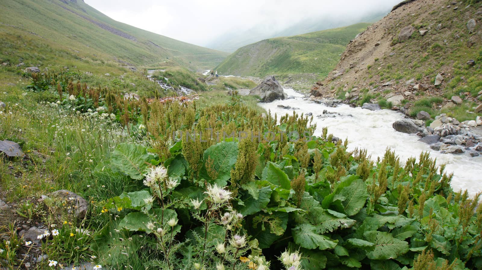 River at Greater Caucasus Mountain Range, North Osetia region, Russia