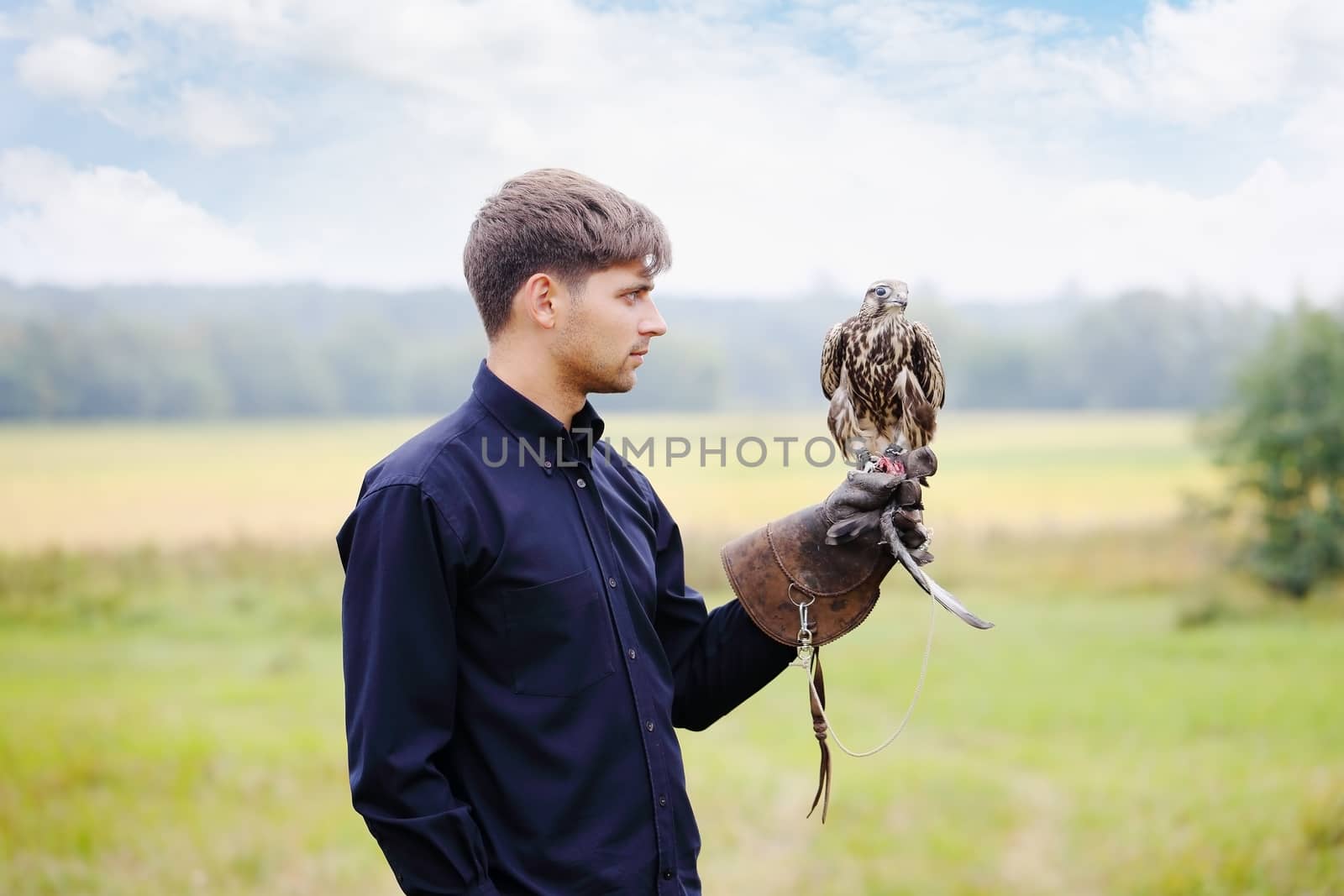 Young  man falcon feeds by Mallivan