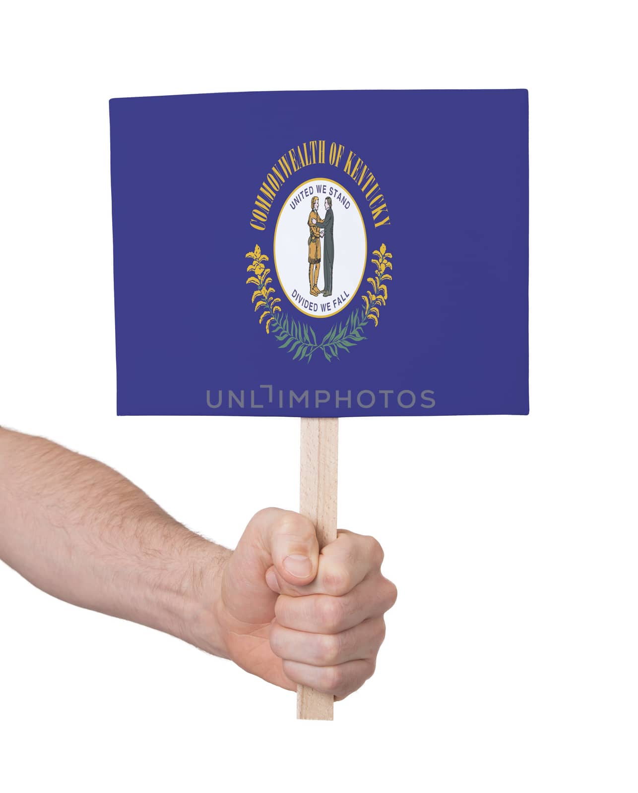 Hand holding small card, isolated on white - Flag of Kentucky