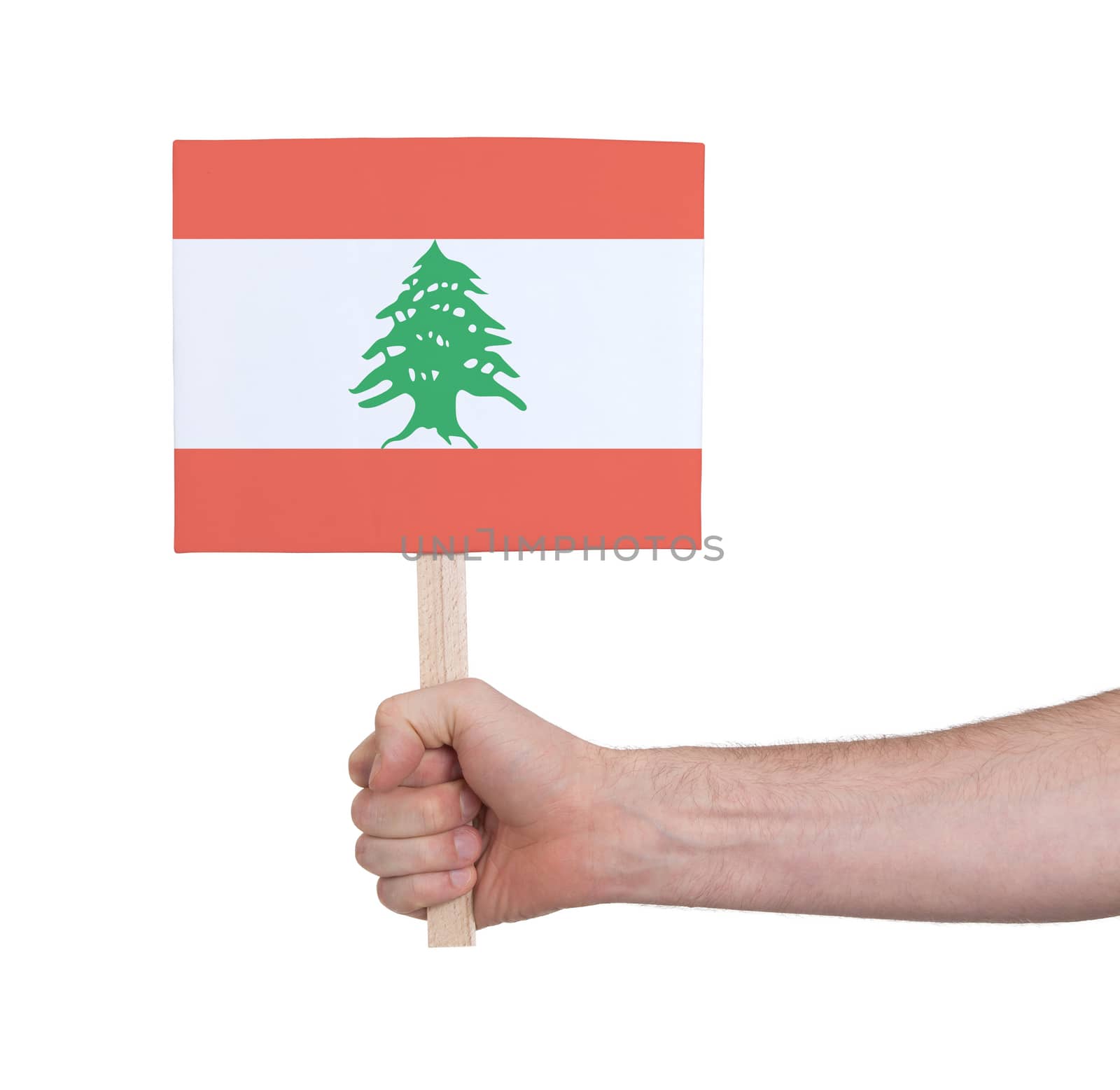 Hand holding small card - Flag of Lebanon by michaklootwijk
