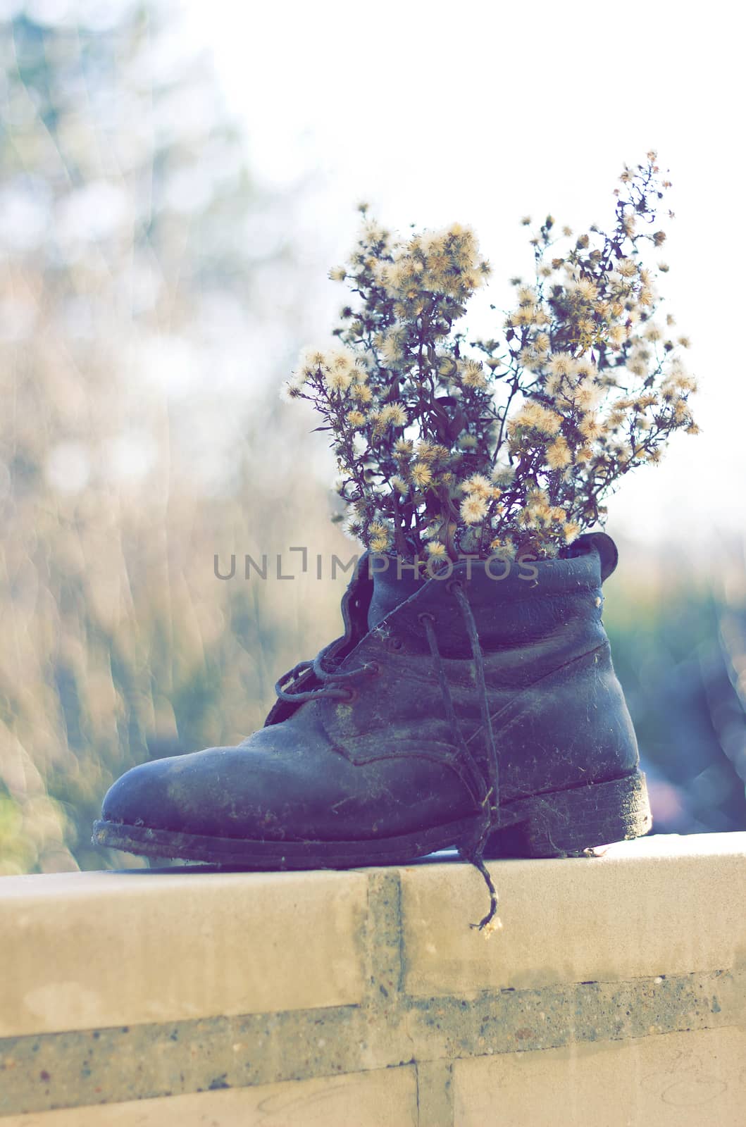 Old boots with dry wild flowers