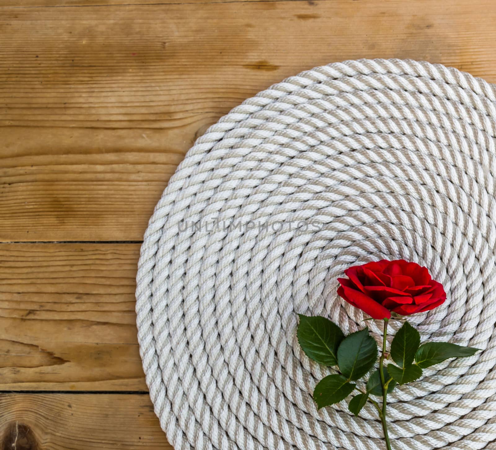 Beautiful red rose lily over rope and wooden table