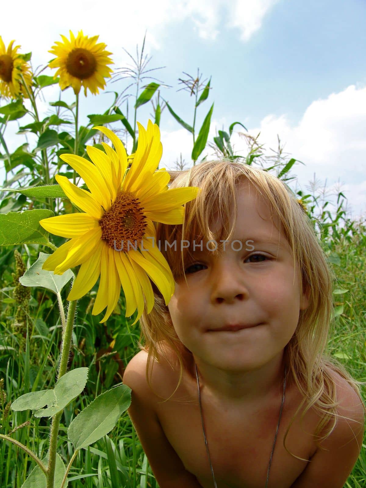 Small girl and the sunflower.