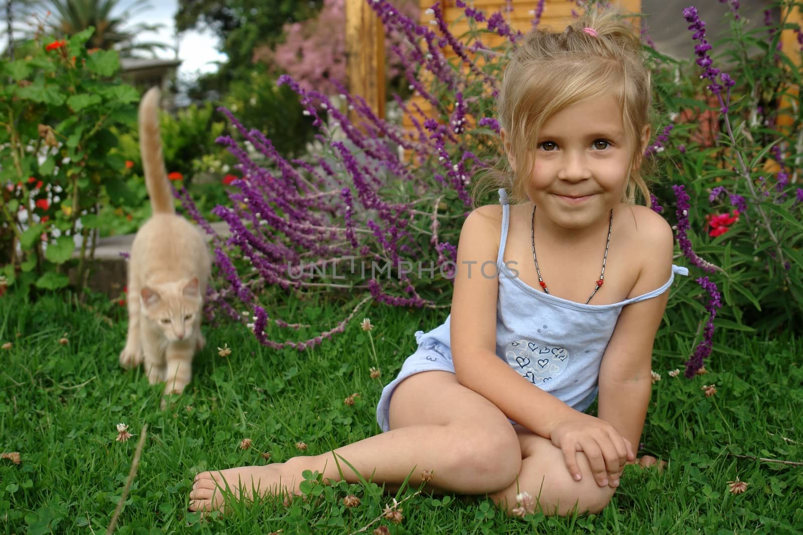 Girl posing on the grass a ginger cat is approaching her from behind. by kertis