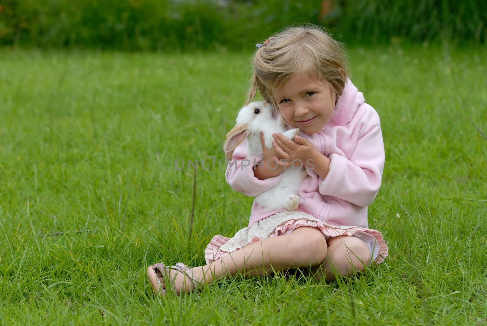 Cute small girl in pink is caring little white rabbit. by kertis