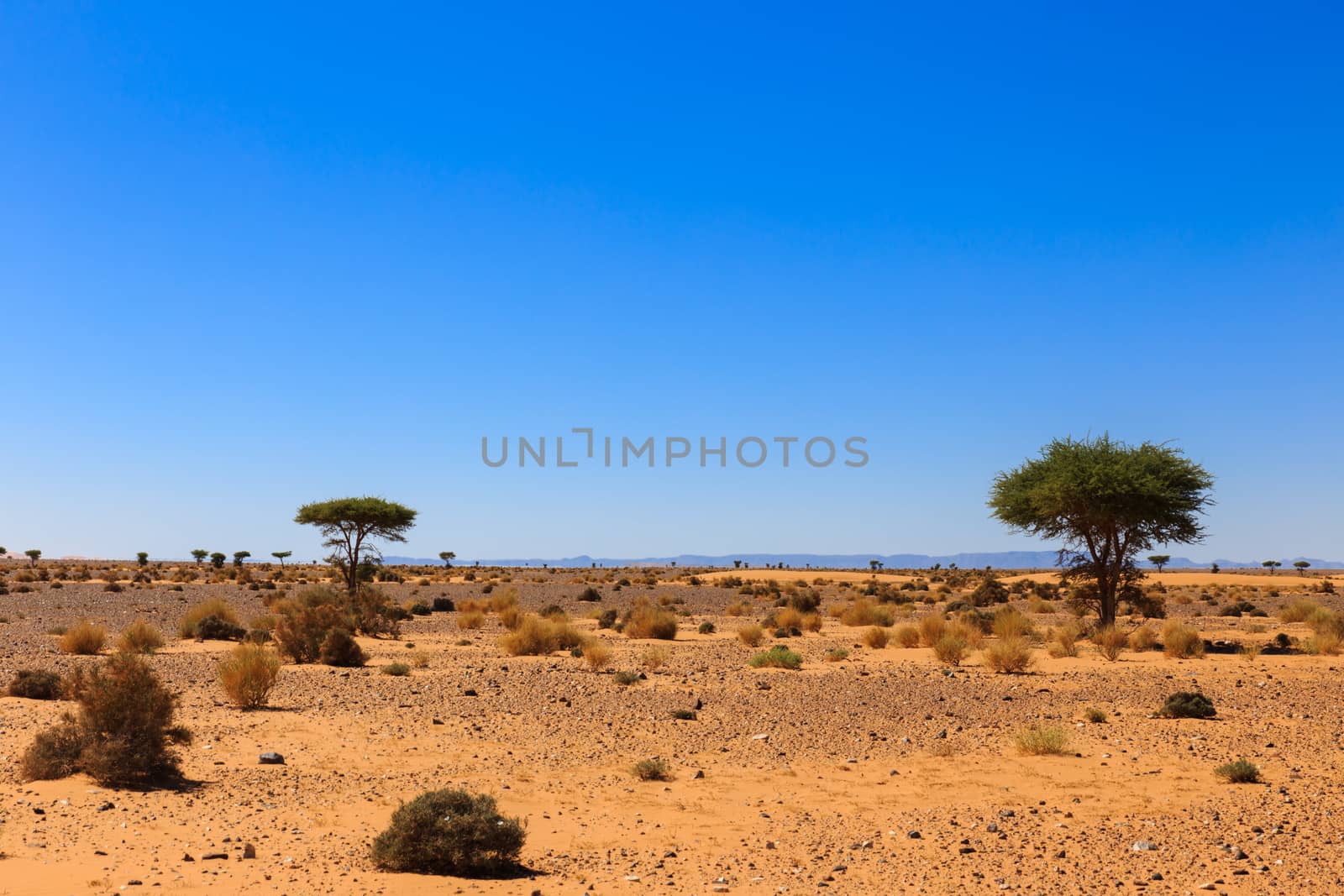 the landscape in the Sahara desert, Morocco