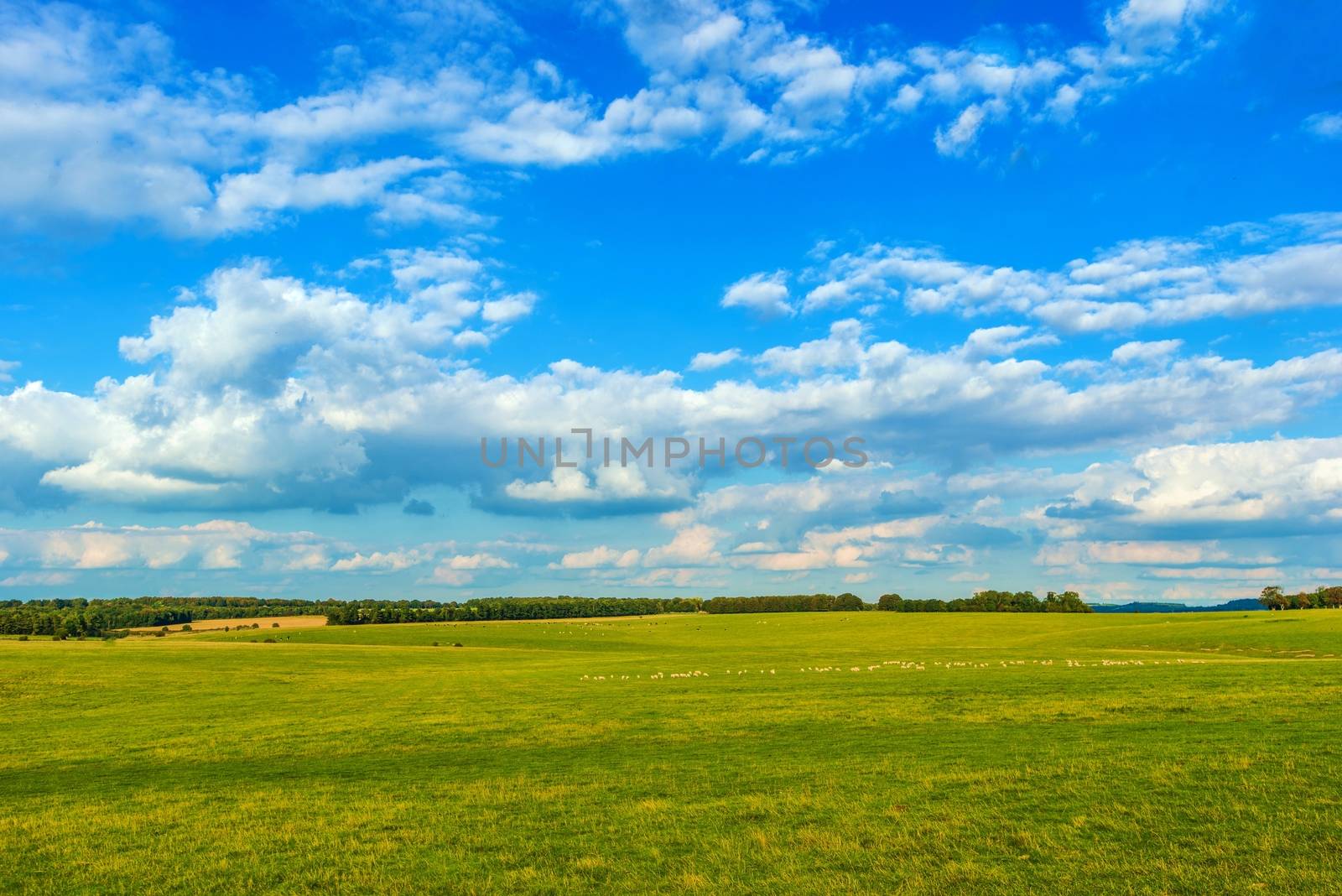 English Countryside Meadow. England, United Kingdom. Farmland Near Southampton, UK.