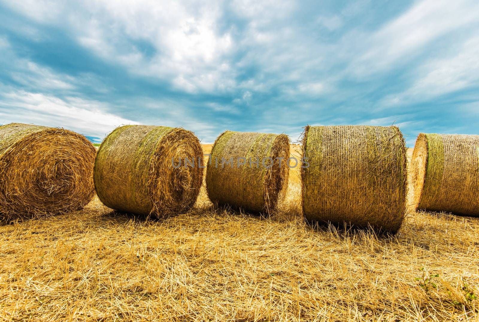 Hay Bales Agriculture Scenery. European Countryside Farmland.