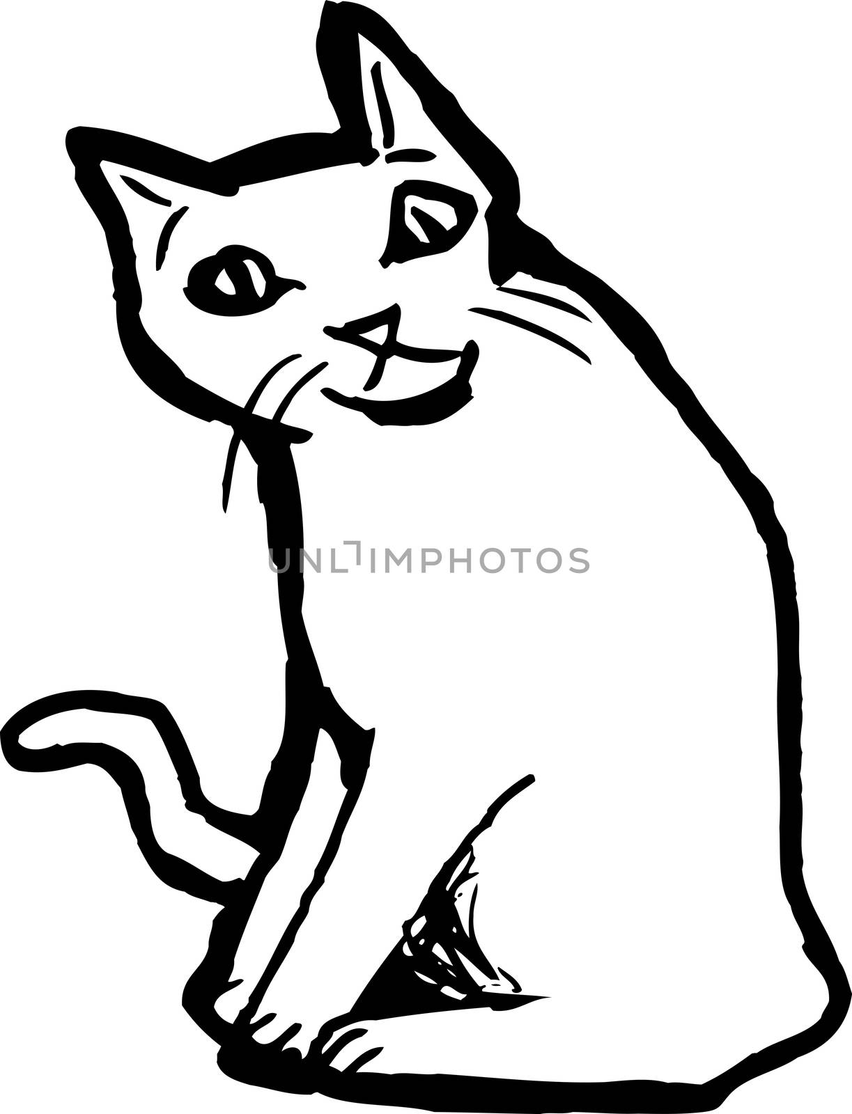 Outlined domestic cat sitting over white background