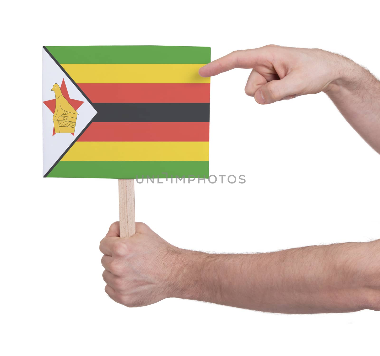 Hand holding small card - Flag of Zimbabwe by michaklootwijk