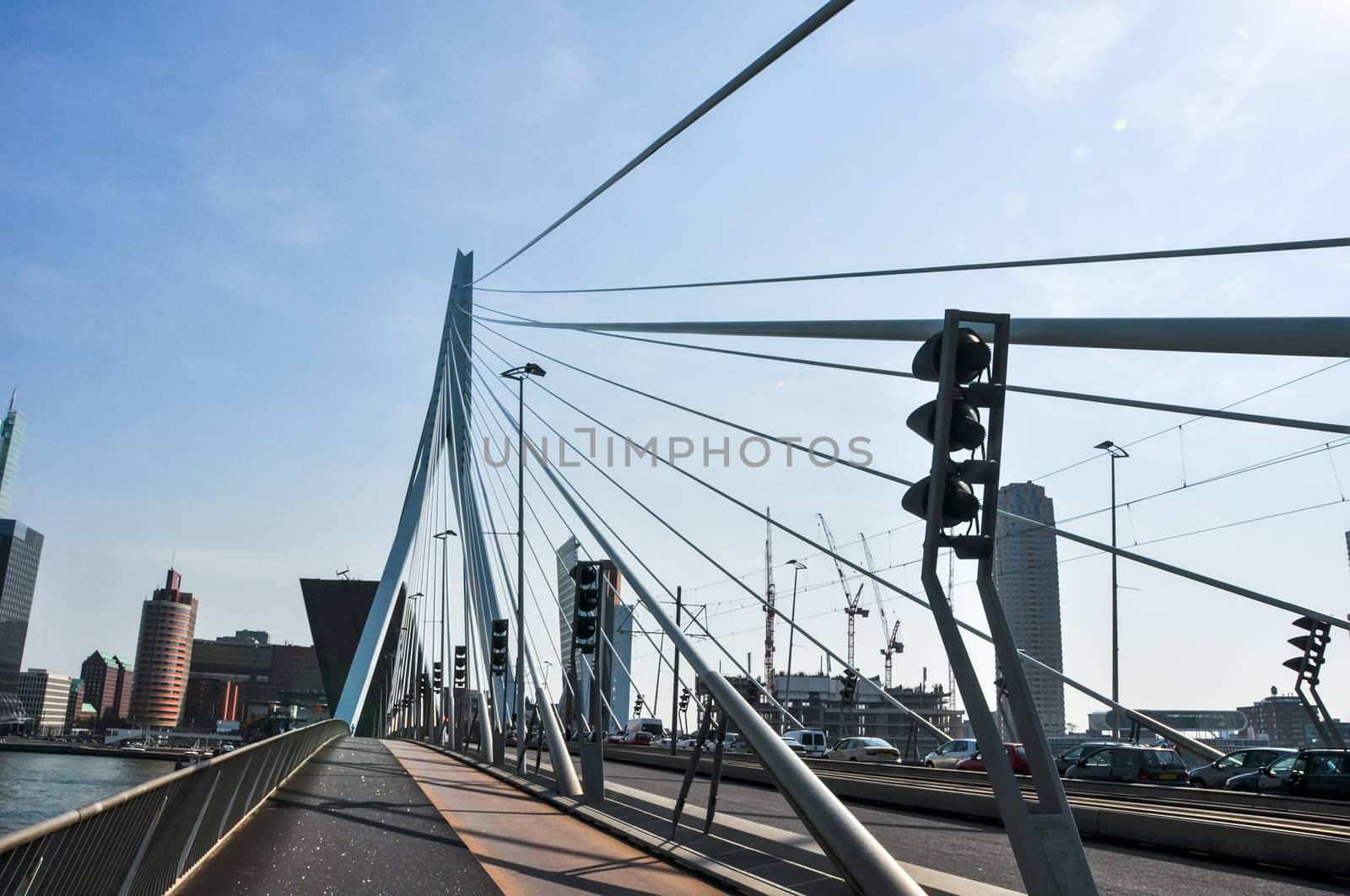 Erasmus bridge in Rotterdam Netherlands Holland by vlaru