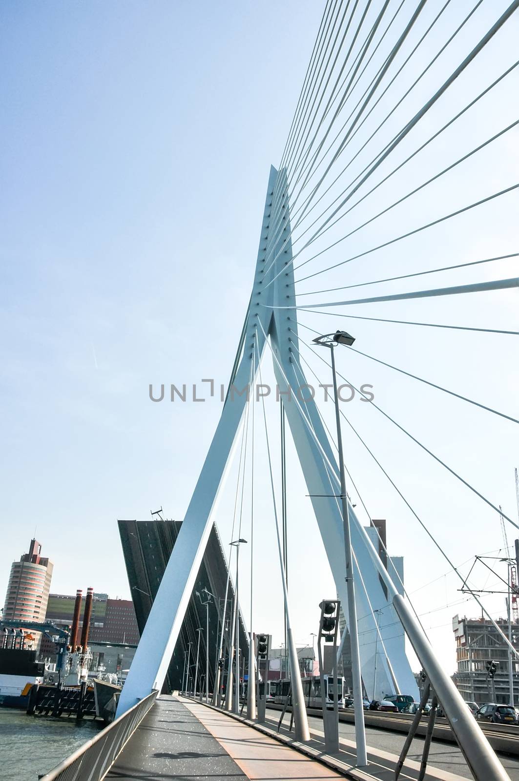 Erasmus bridge in Rotterdam Netherlands Holland by vlaru