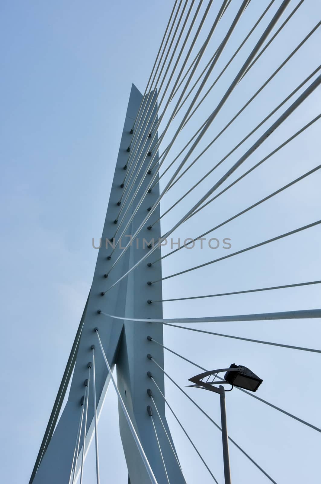 Erasmus bridge in Rotterdam Netherlands Holland by vlaru