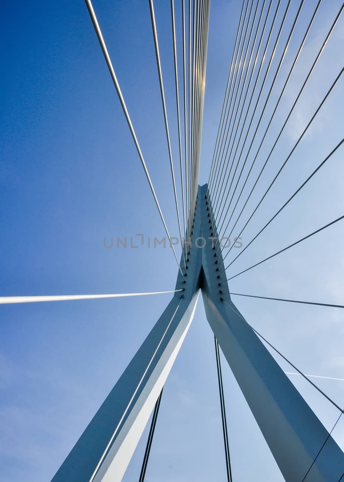 Erasmus bridge on Maas river in Rotterdam Netherlands Holland