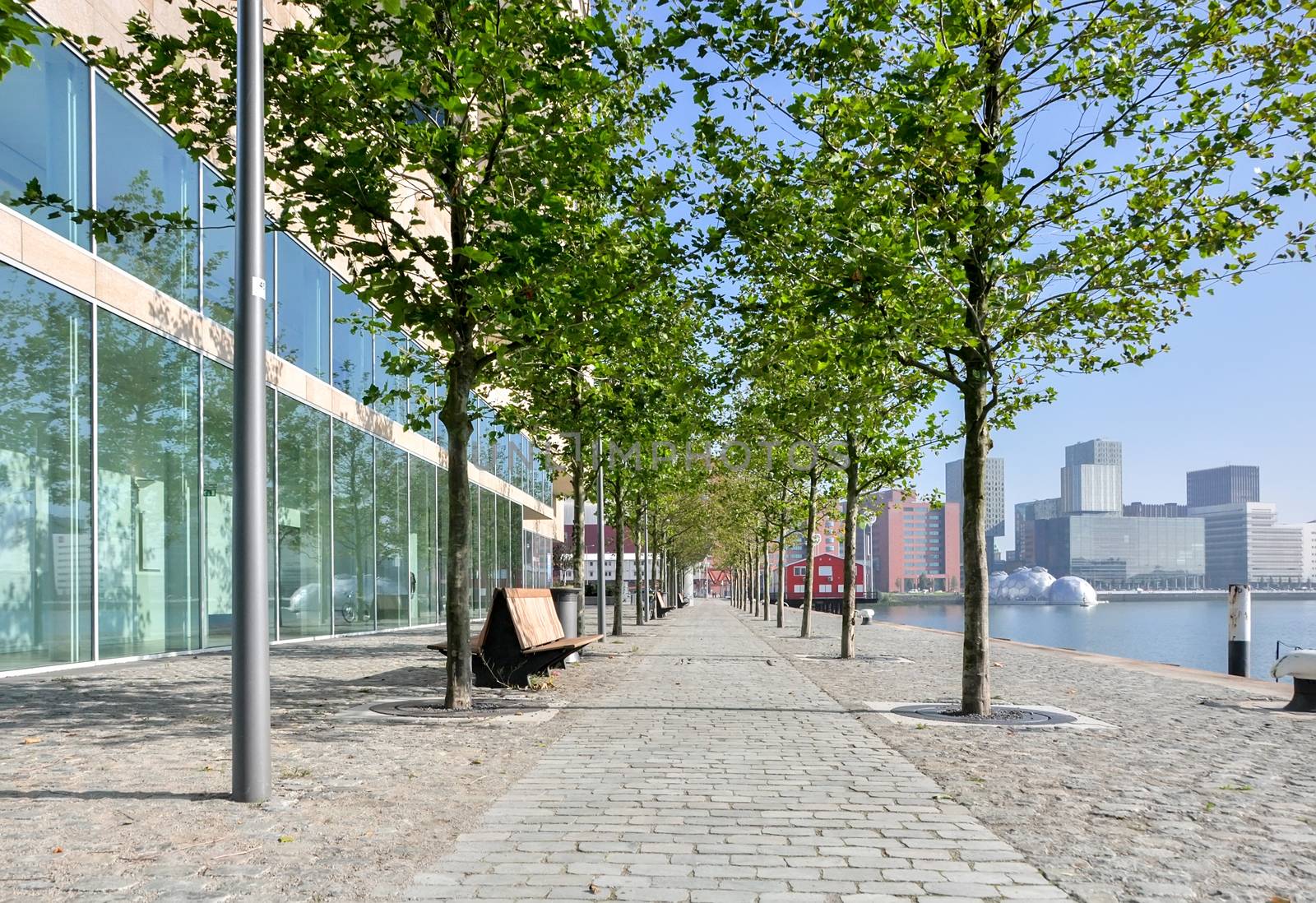 paved pedestrian promenade in Rotterdam Netherlands Holland by vlaru