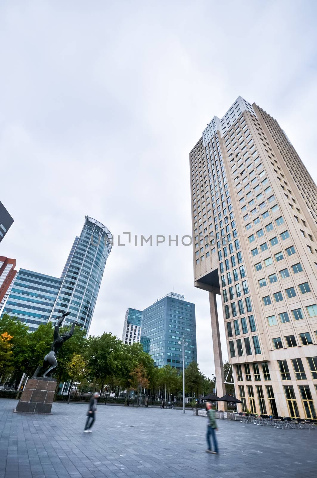 high-rise buildings on the streets of Rotterdam by vlaru