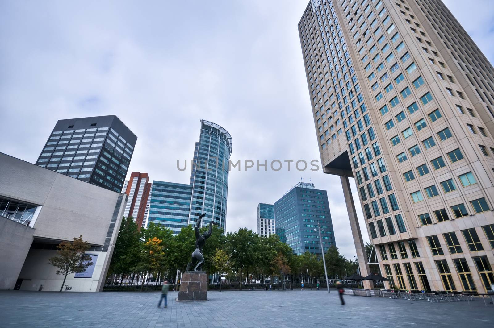 high-rise buildings on the streets of Rotterdam Holland
