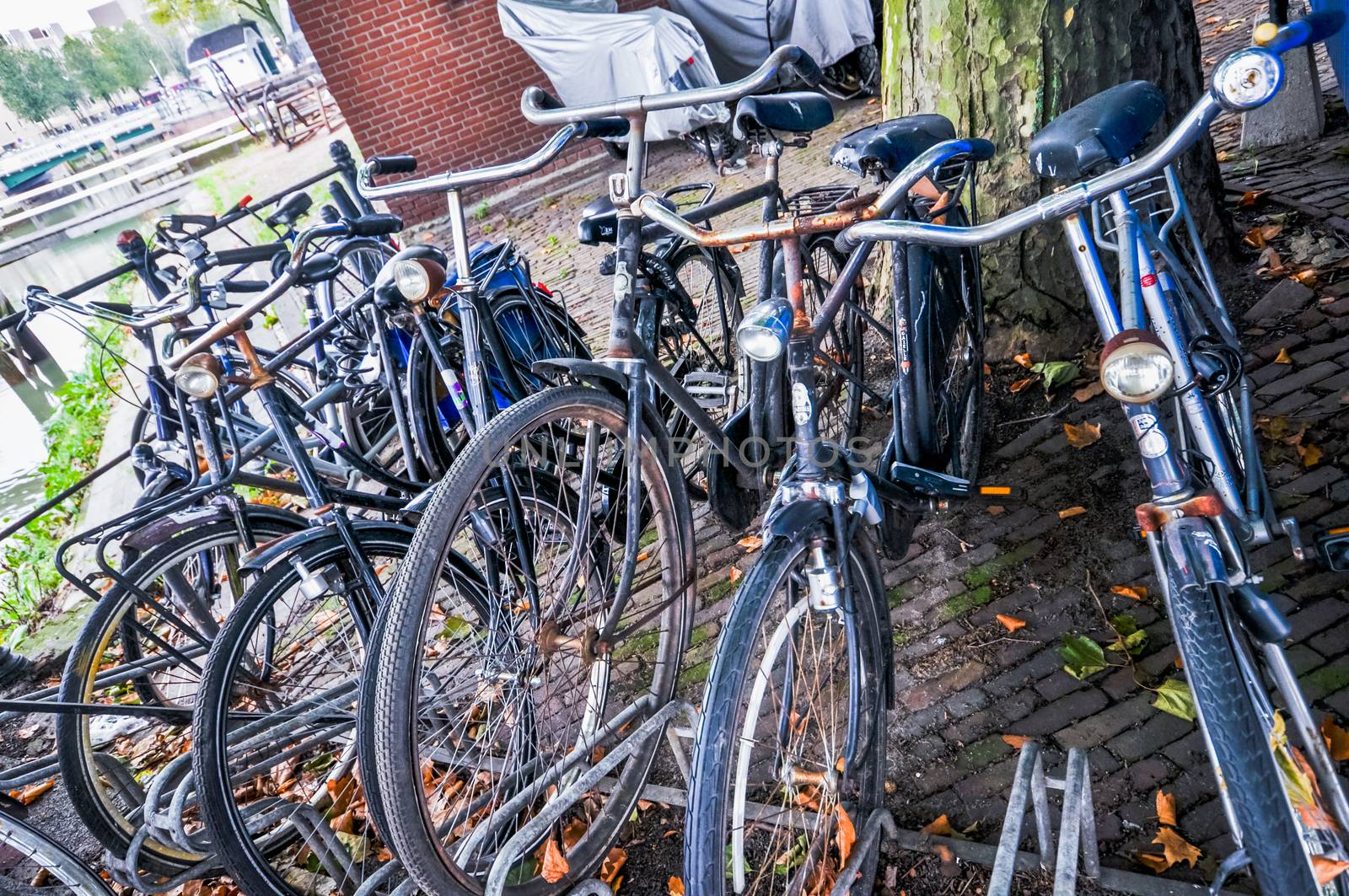 bikes on the streets of Rotterdam by vlaru