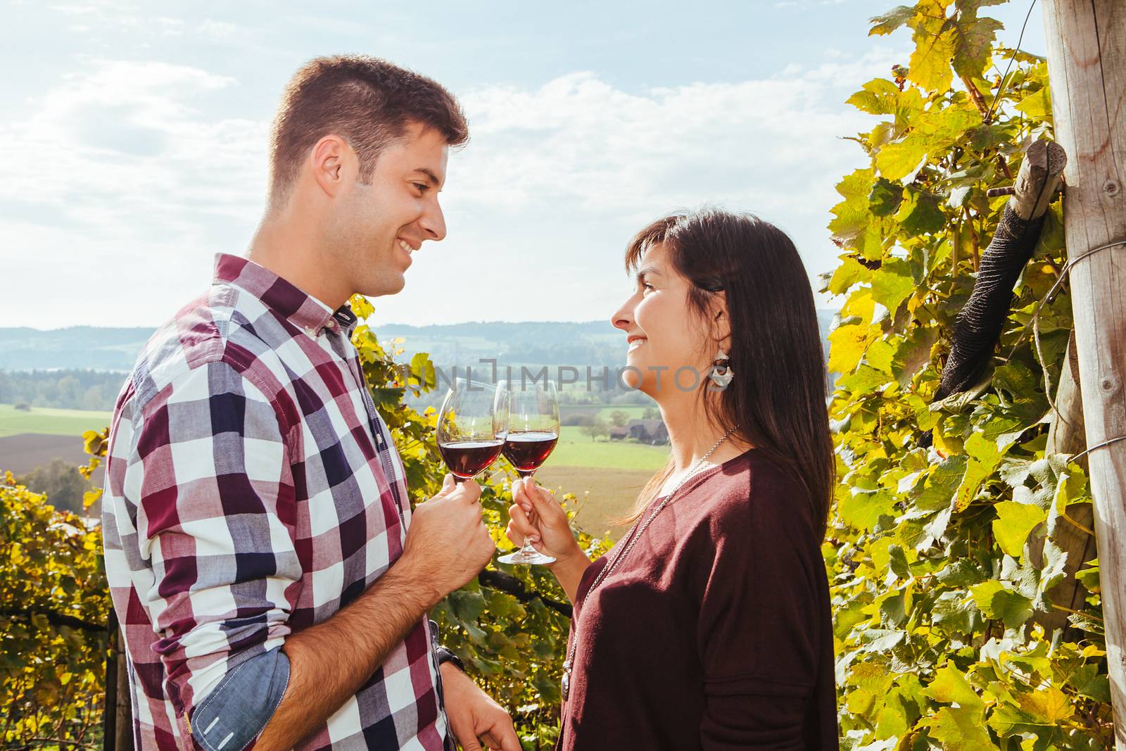 Couple drinking wine in a vineyard by sumners