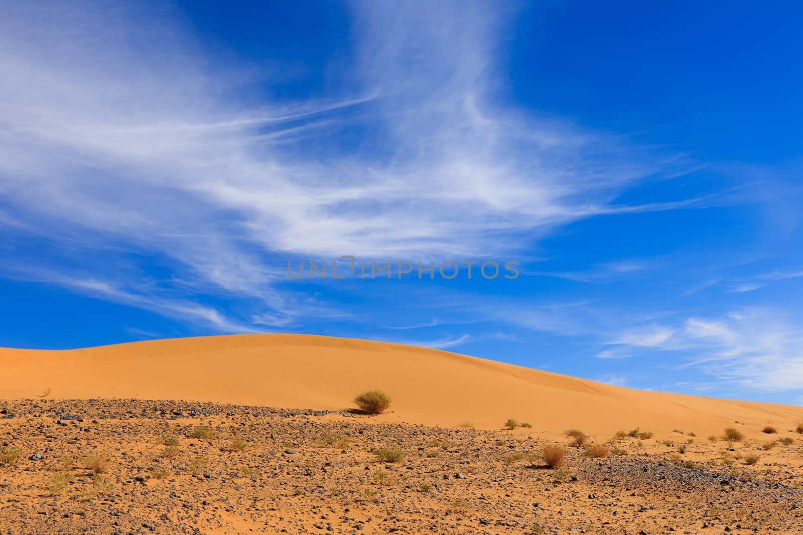 sand dune in the blue sky, Morocco