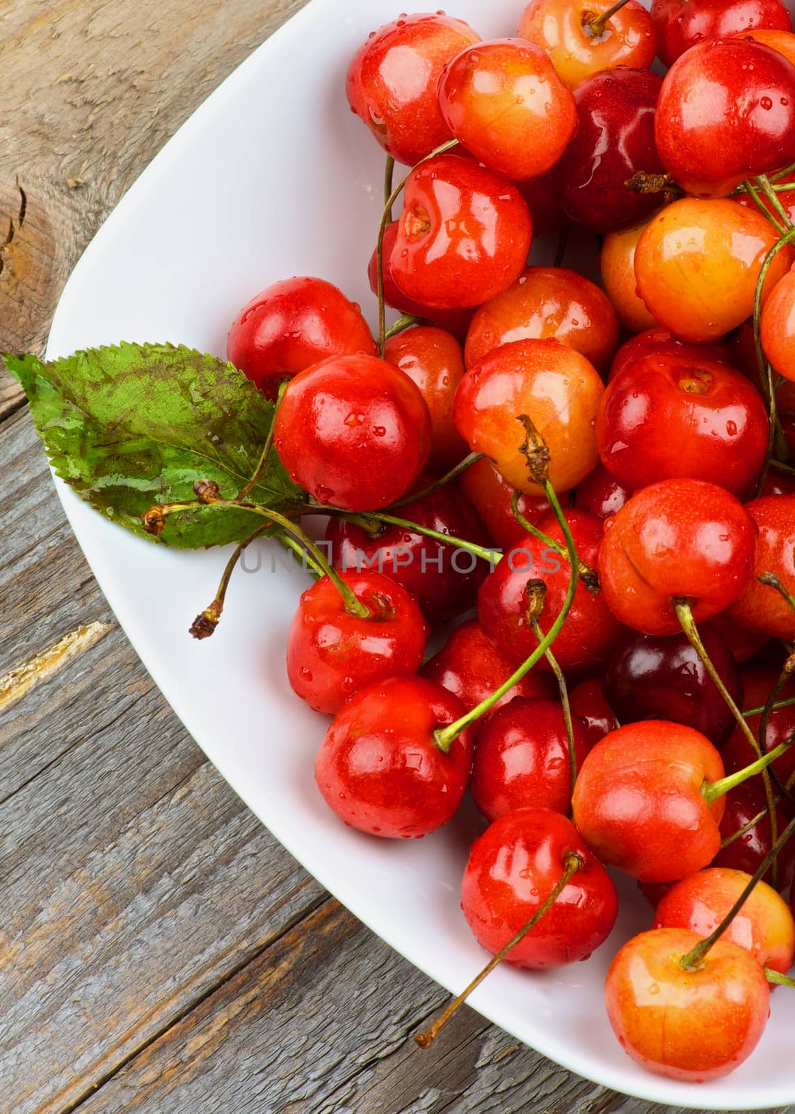 Fresh Ripe Sweet Maraschino Cherries with Leaf in White Bowl closeup on Rustic Wooden background