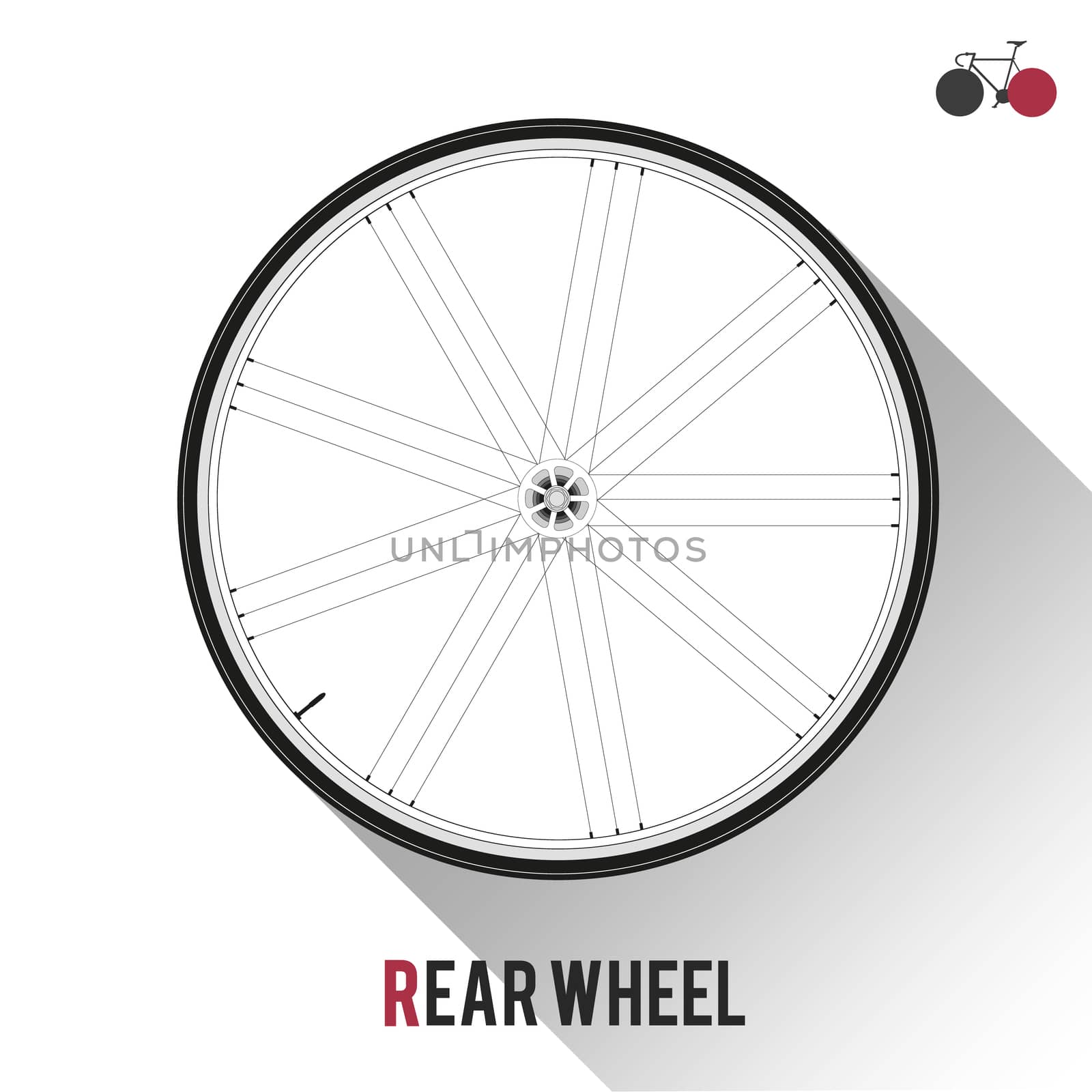Bike Rear Wheel by landscafe