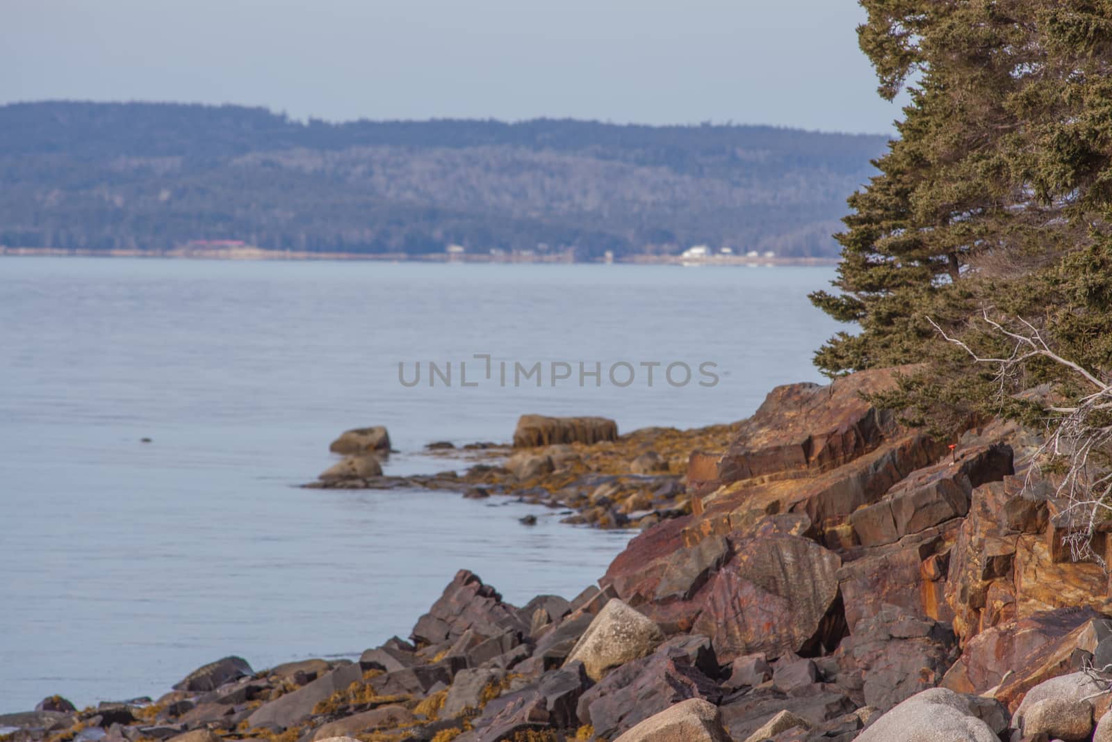 the always beautiful Nova Scotia coast in December