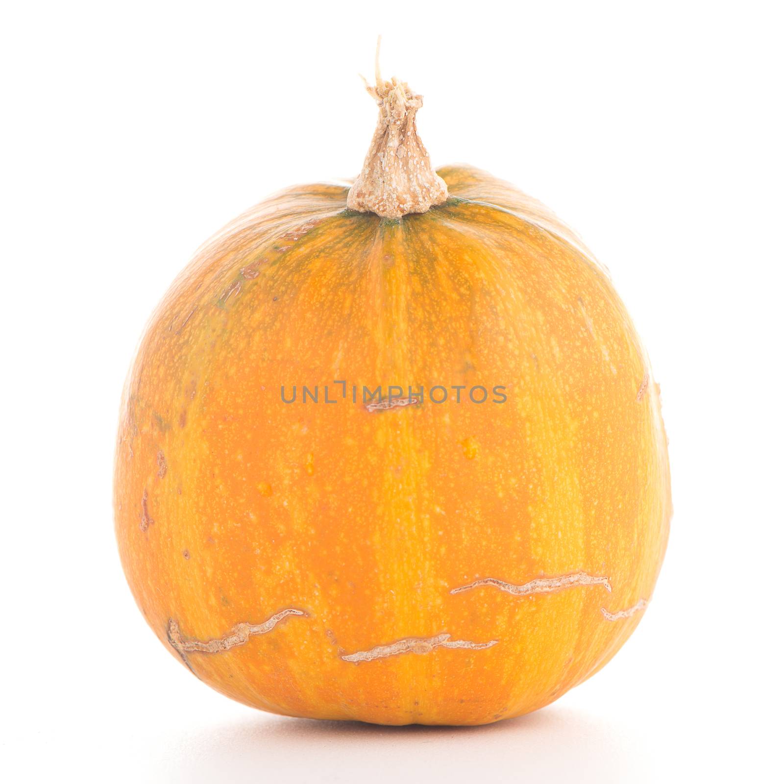 Pumpkin isolated on white background