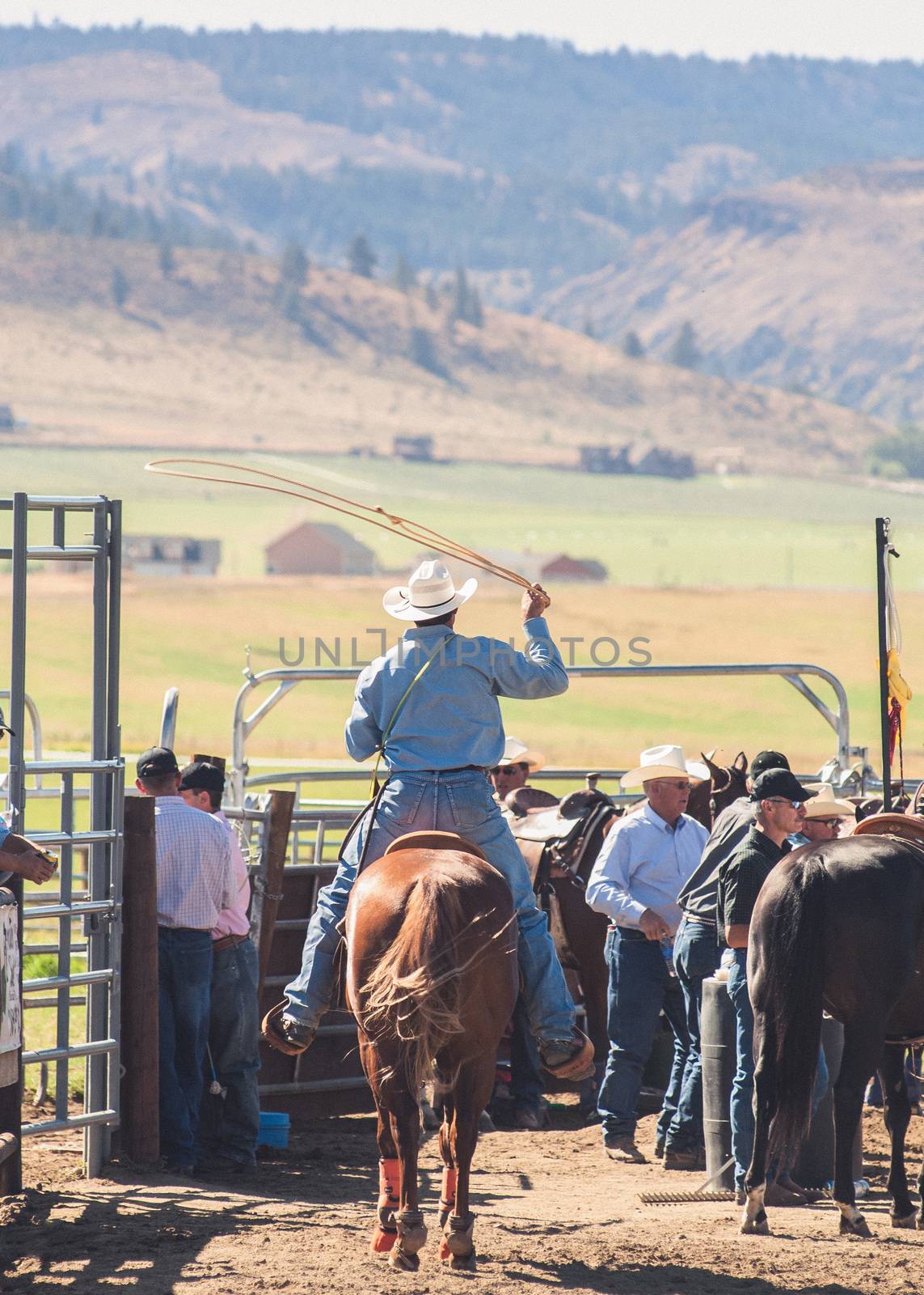 Rear view of man wearing cowboy hat.