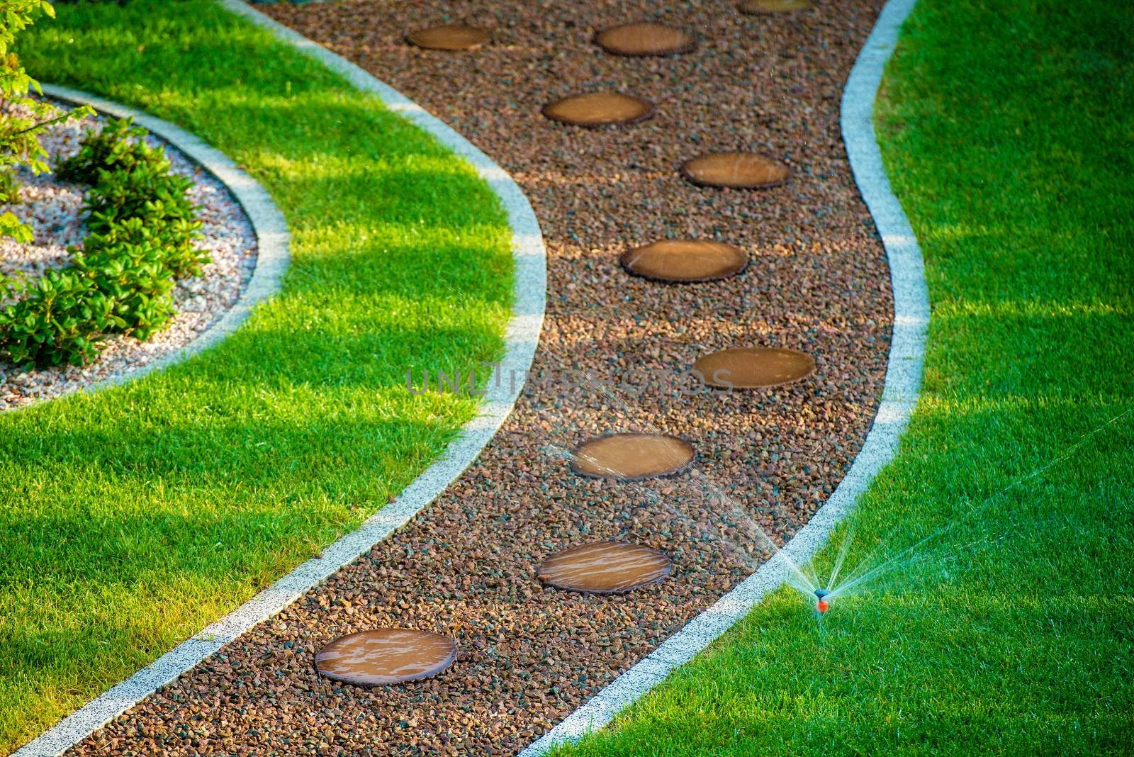 Backyard Lawn Sprinkler by welcomia