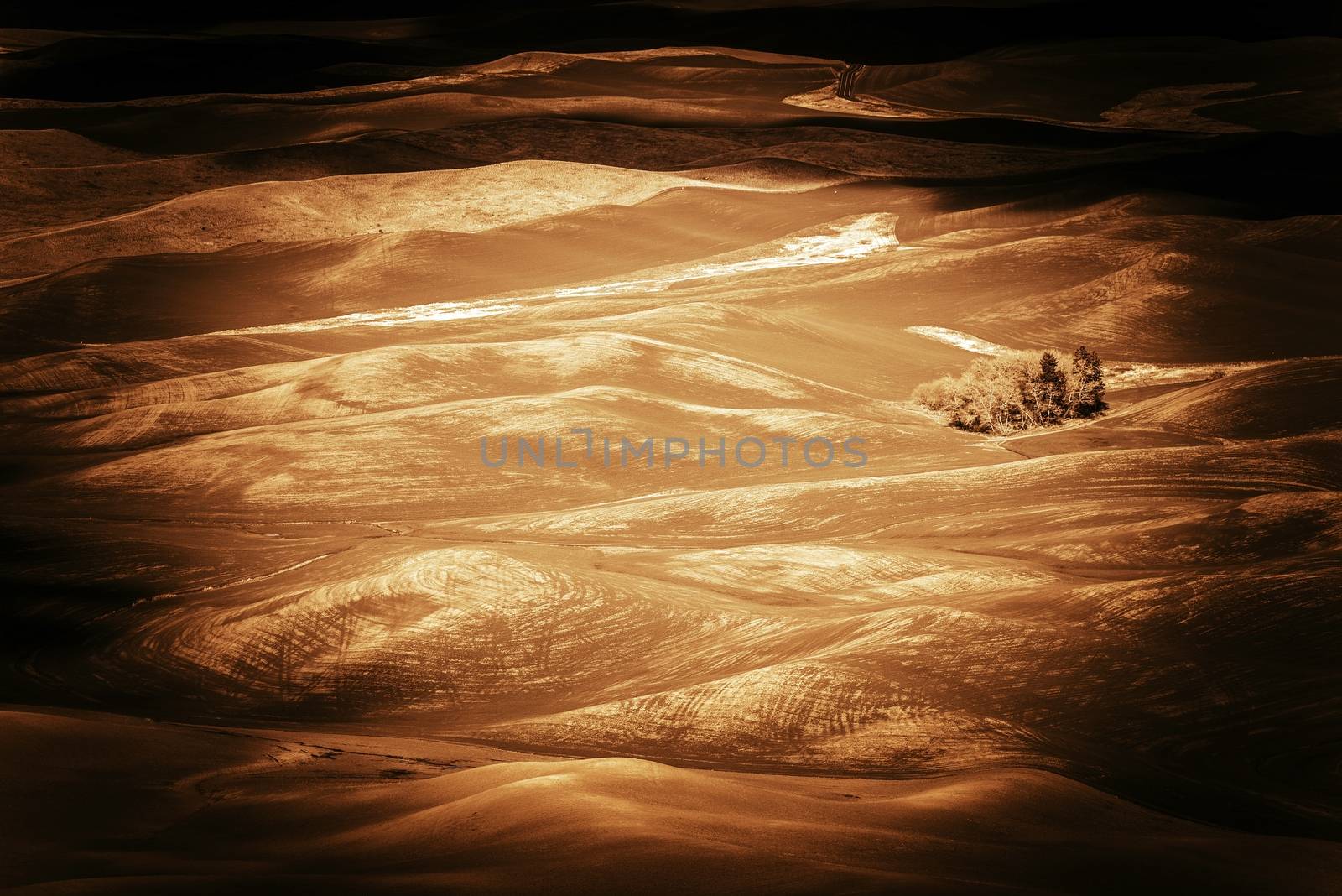 Butted Countryside Step Toe, Eastern Washington State, United States. Sepia Vintage Color Grading.